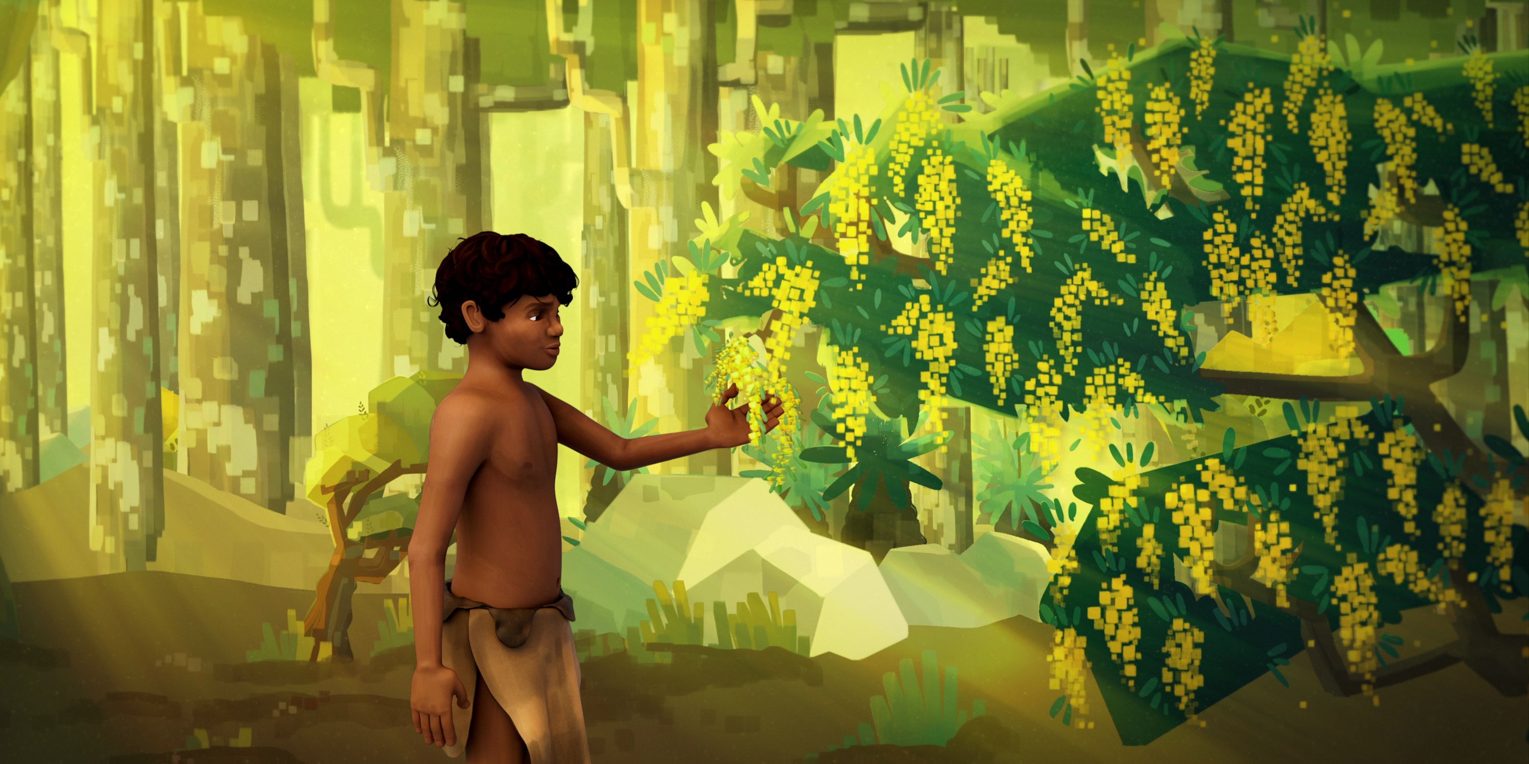 Still from animation, an Aboriginal boy reaches out to touch the yellow wattle on the tree.