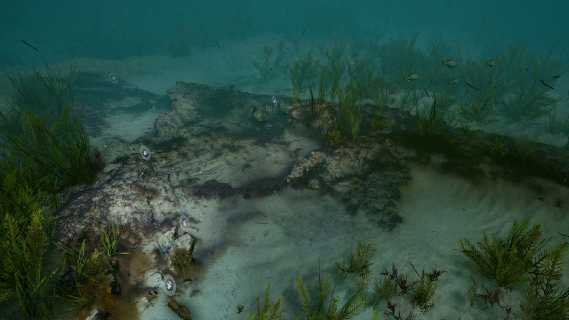 Screenshot of a Virtual relity experience showing an underwater shipwreck covered in sand and seeweed. 
