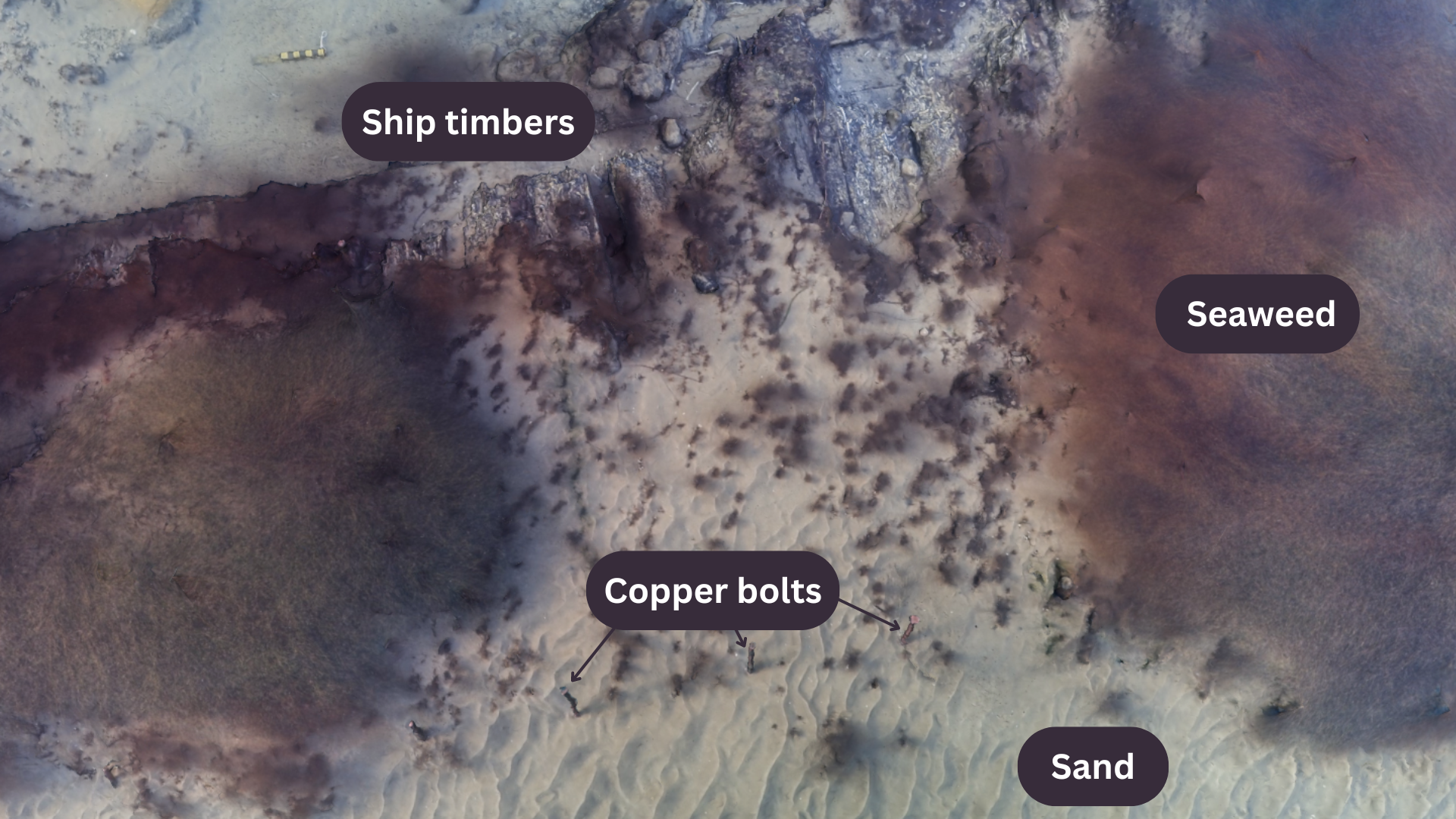 Close up of sea floor with annotations marking the ship timbers, seaweed, copper bolts and sand