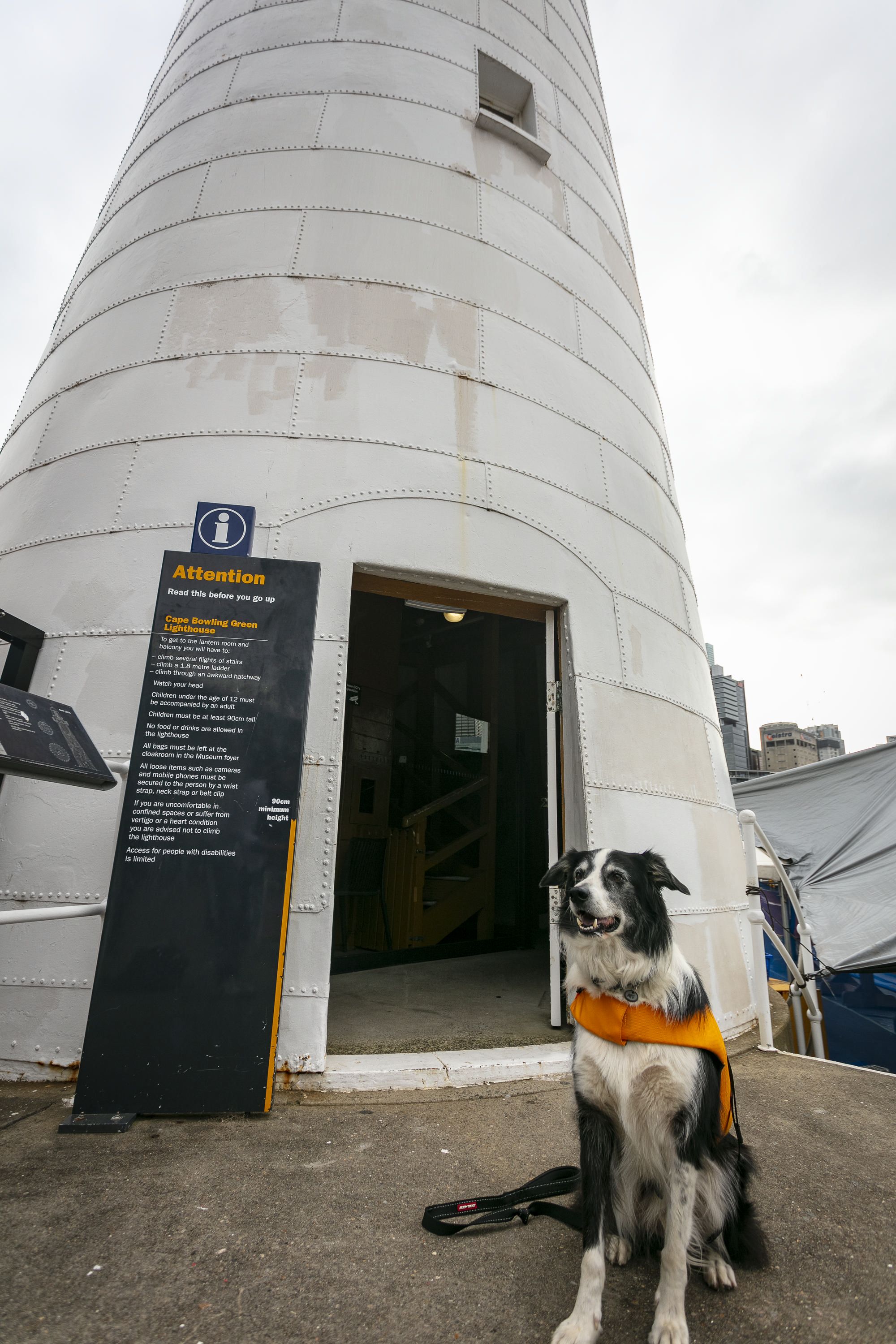 A photo of a dog, a black and white border collie, sitting outside the base of a white lighthouse.