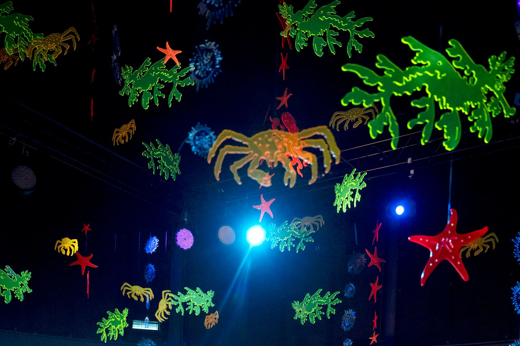 Photo taken of hanging, transparent, coloured acrylic shapes which are ocean animals likle crabs, starfish and sea dragons, on a black background with light shining through.