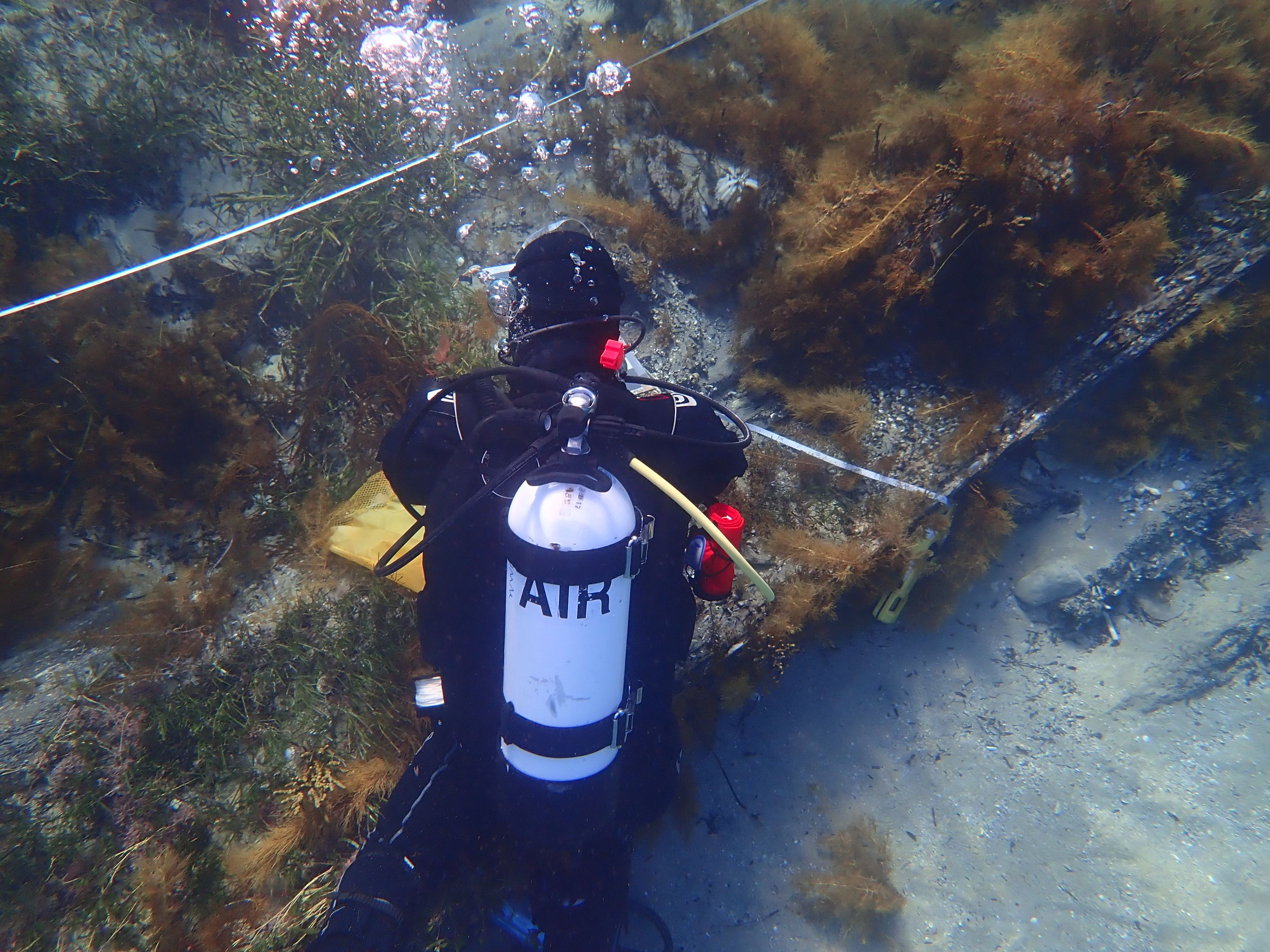 Underwater photo showing a diver wearing a SCUBA tank looking at a shipwreck