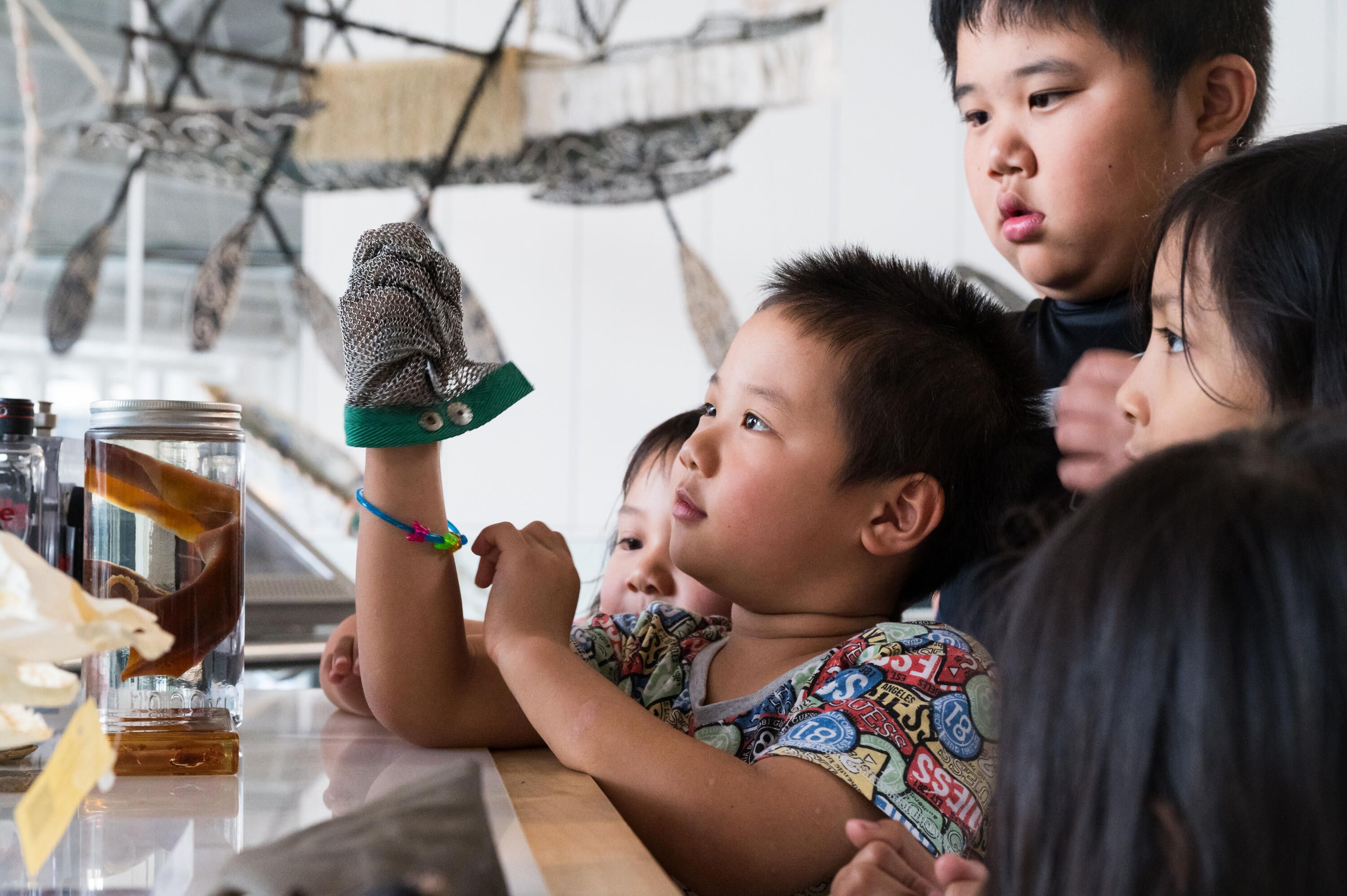 Photo of a group of children looking at a table of specimens and objects they can touch