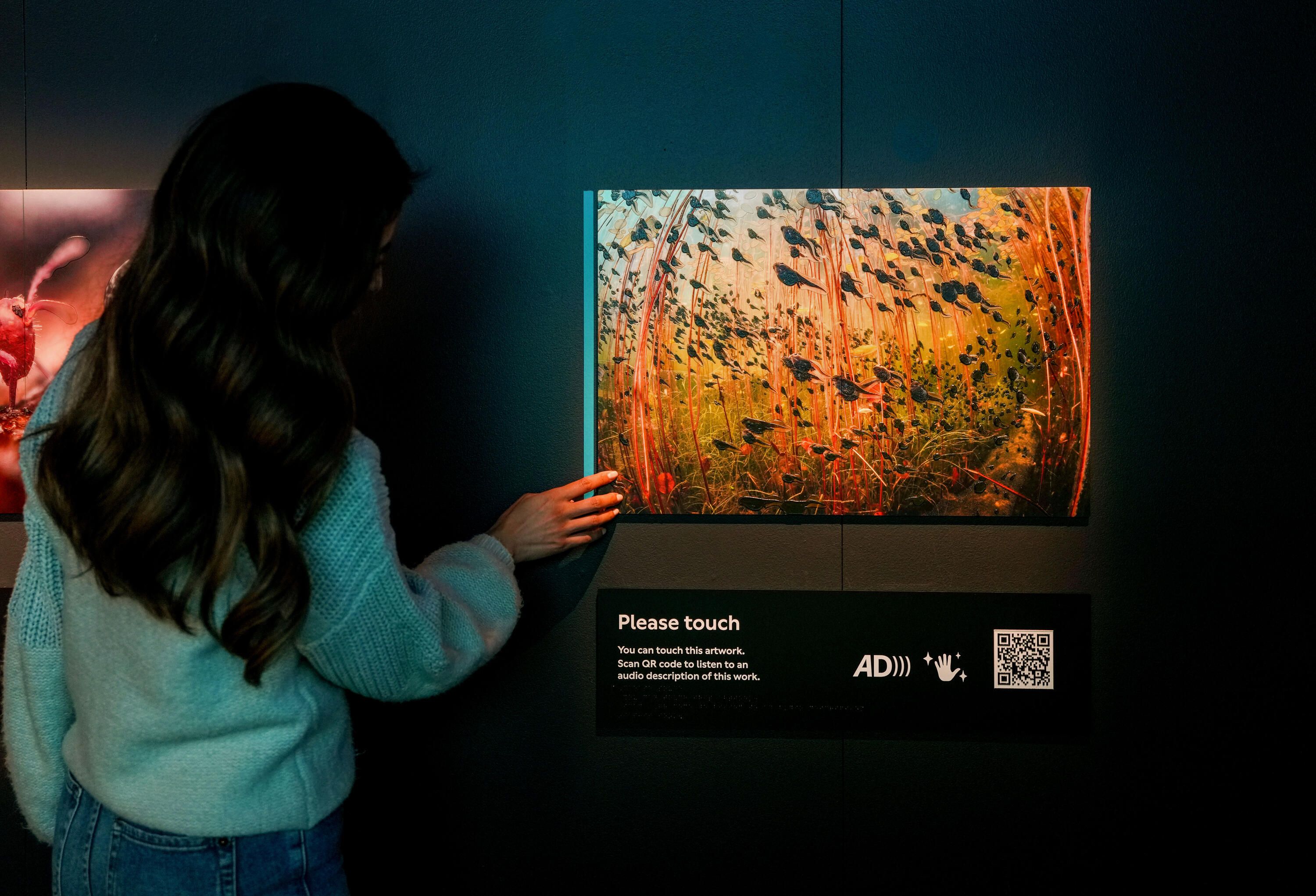 Photo in a museum exhibition of a woman with long, dark hair touching a tactile artwork on the wall.