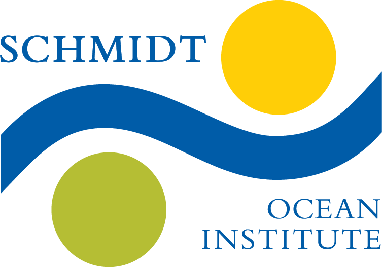 Logo fiir the Schmidt ocean institute, a blue wave with yellow and green dots.