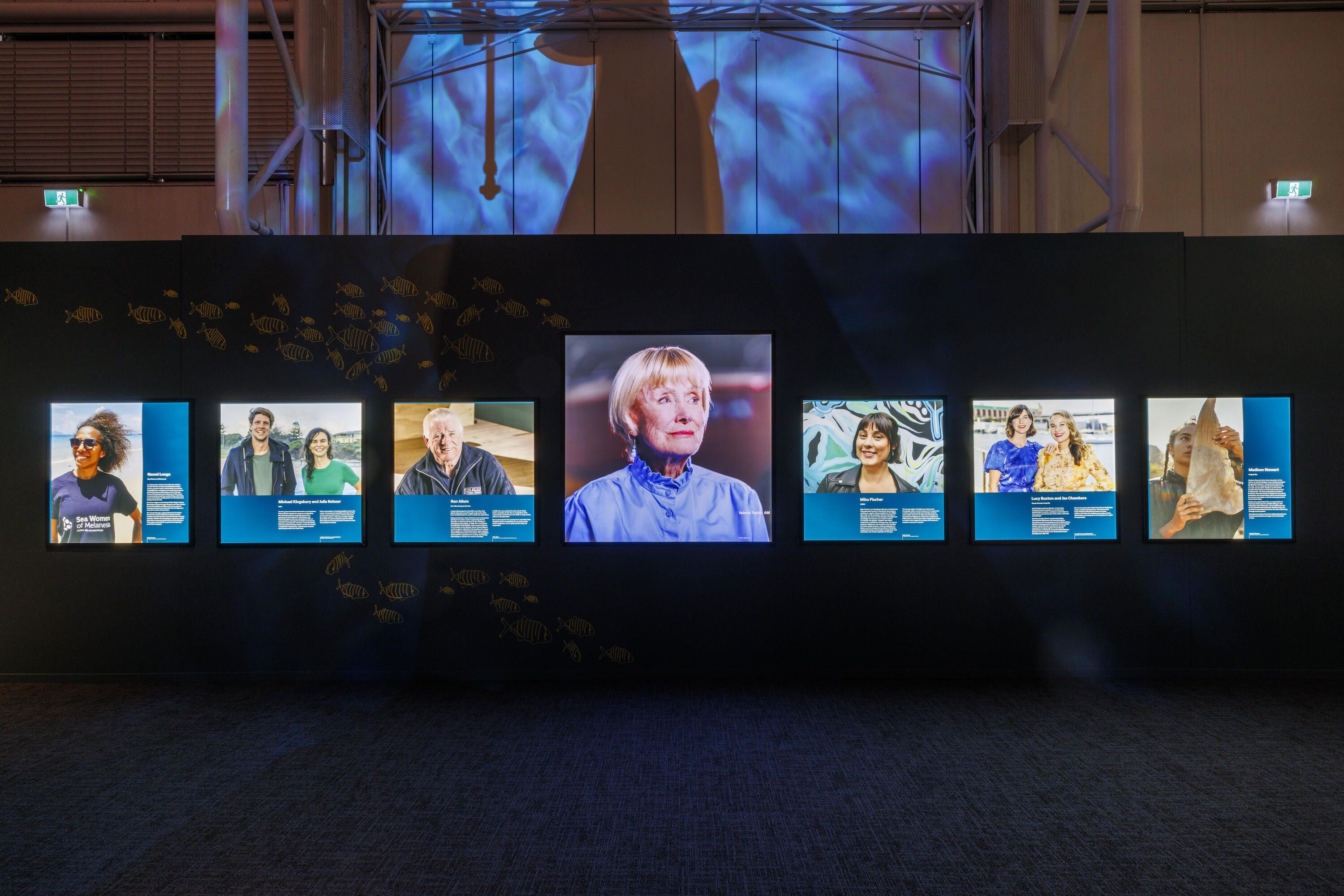 Photograph of a line of photographs in a museum exhibition. 