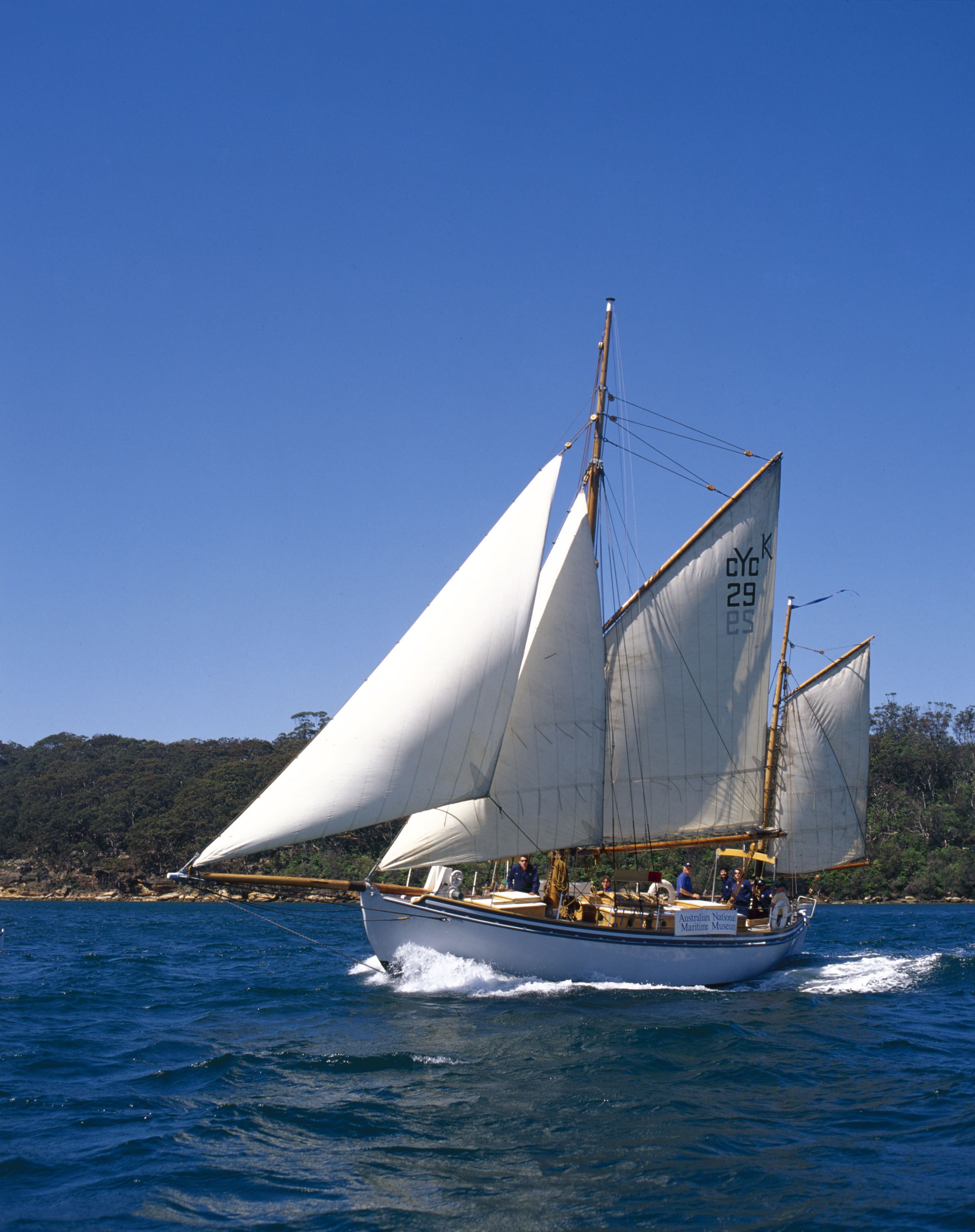 Small boat with white sails on the water, with land covered in green plants. 