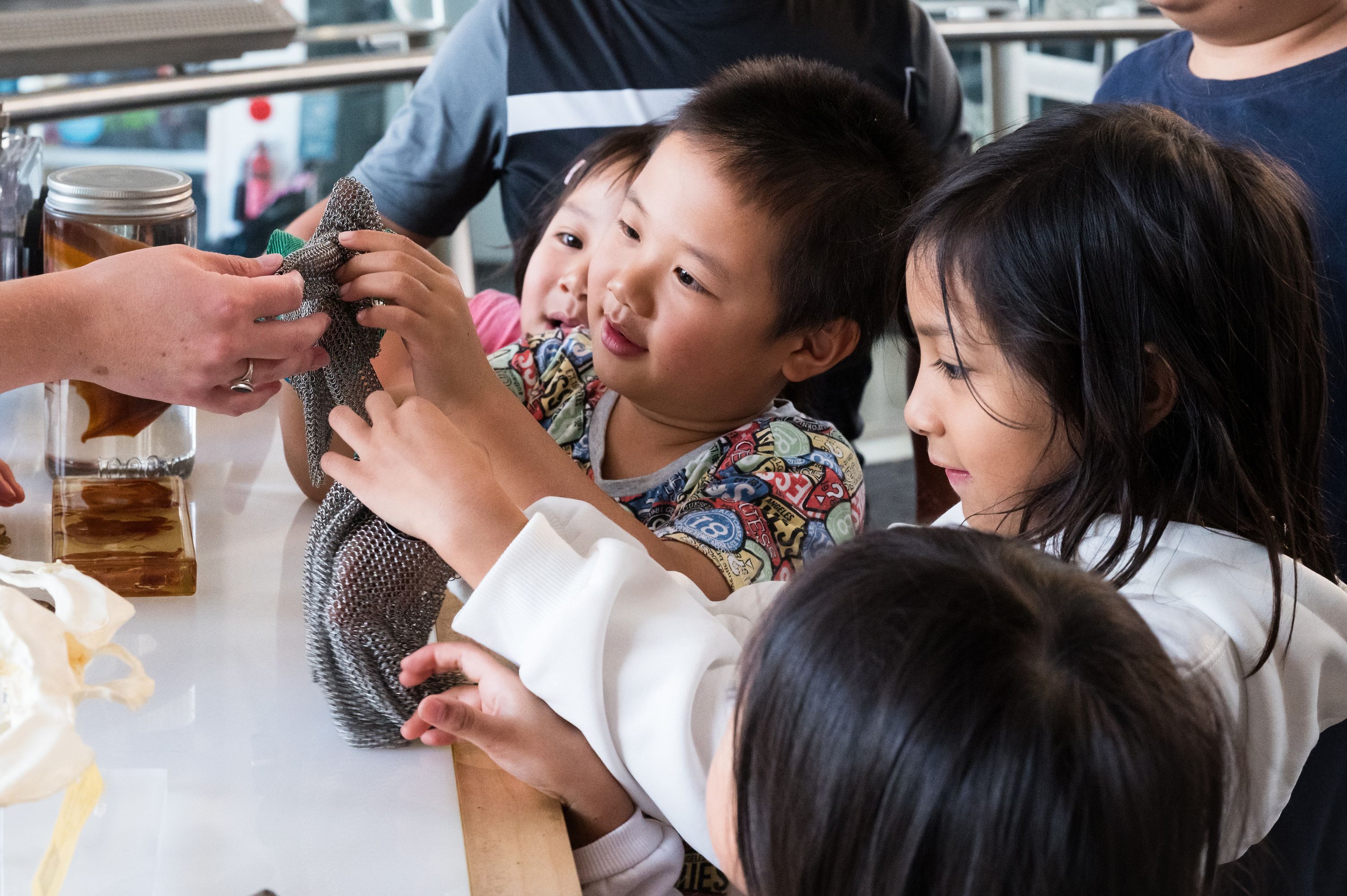 Photo of a group of children looking at a table of specimens and objects they can touch