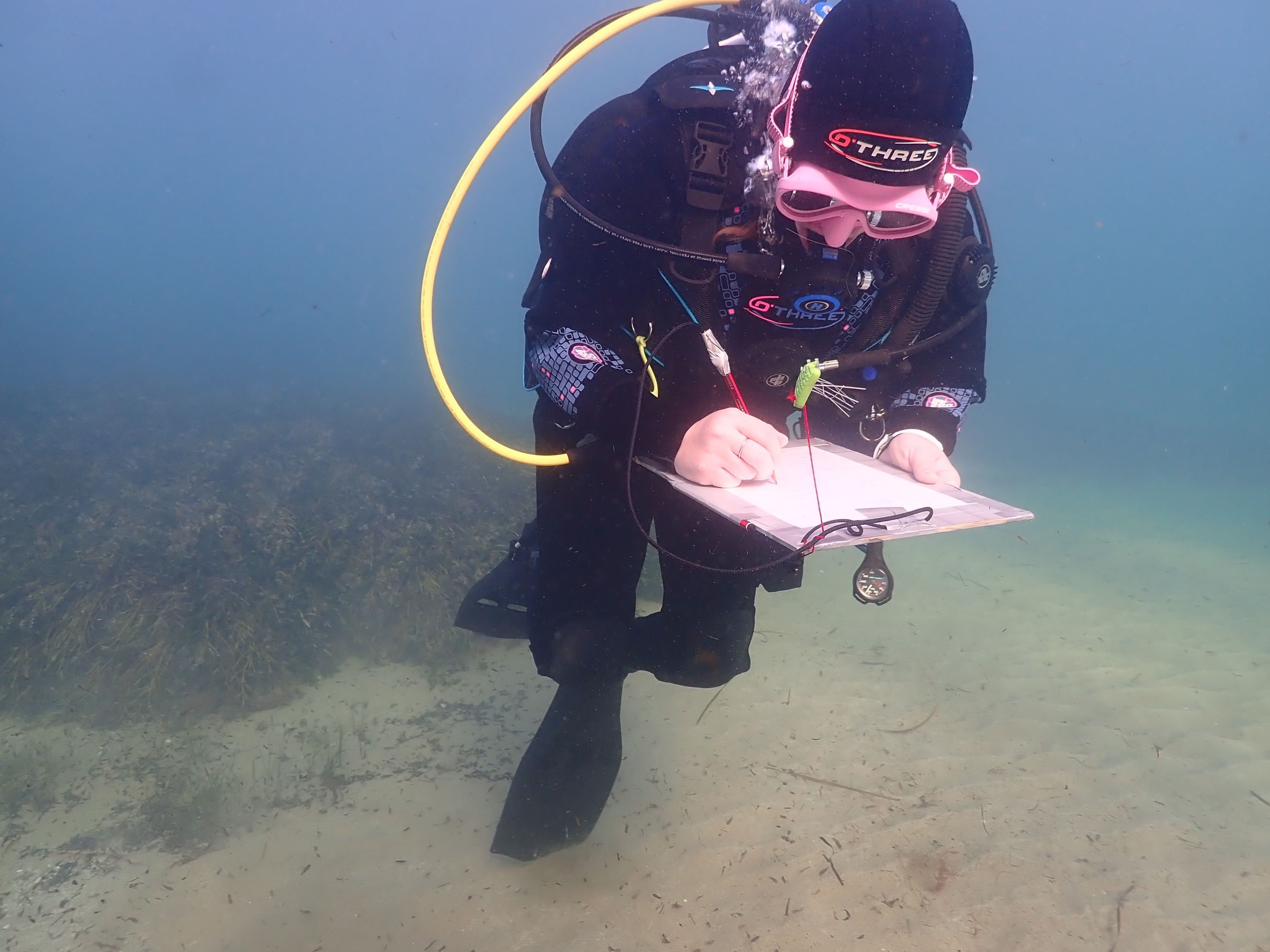 Photo showing a diver underwater, looking at their clipboard. 