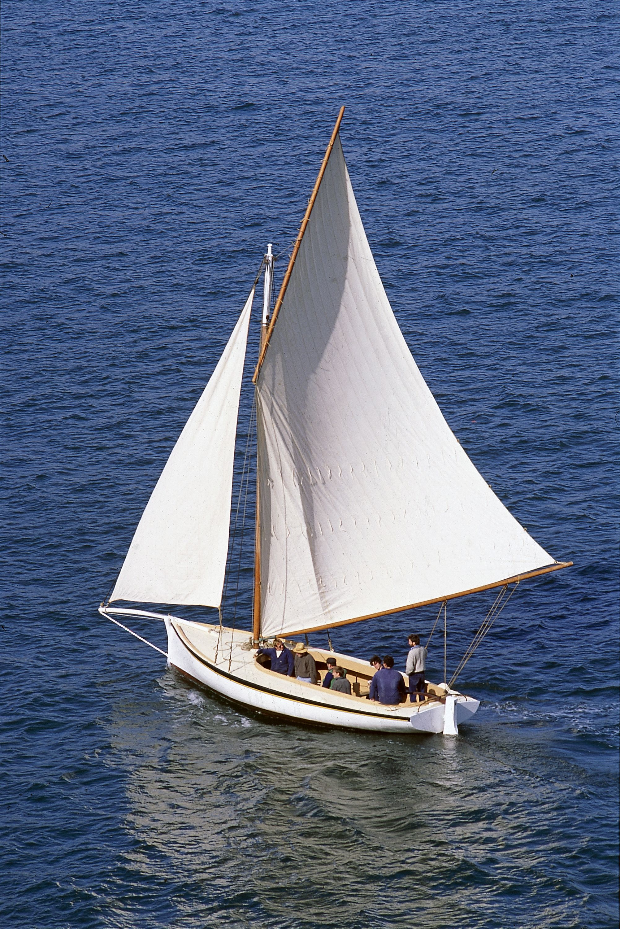 Small boat with white sails on the water.