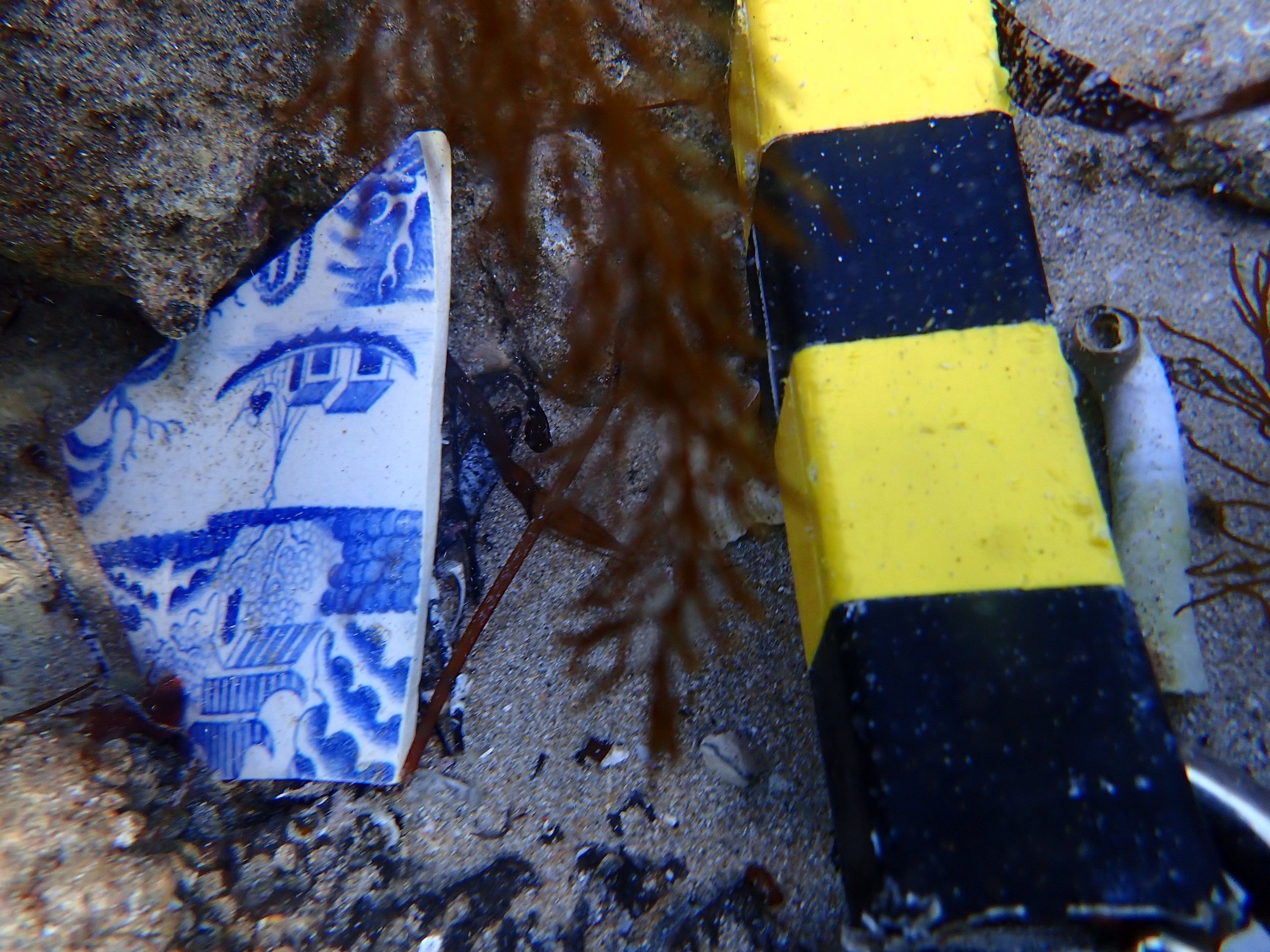A ceramic fragment in the wreck site with a yellow and black marker. 