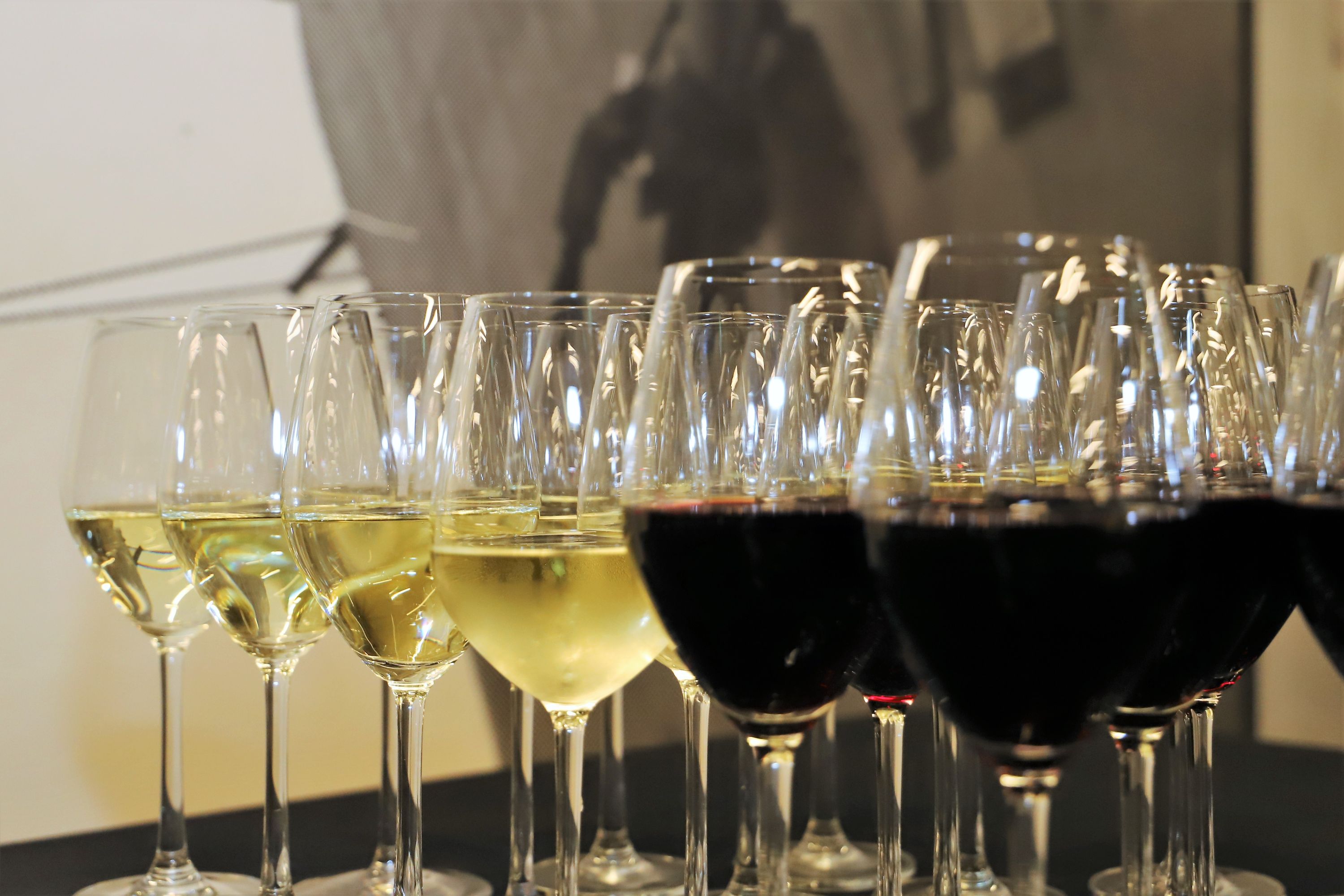 close up photo of glasses containing white and red wine. 