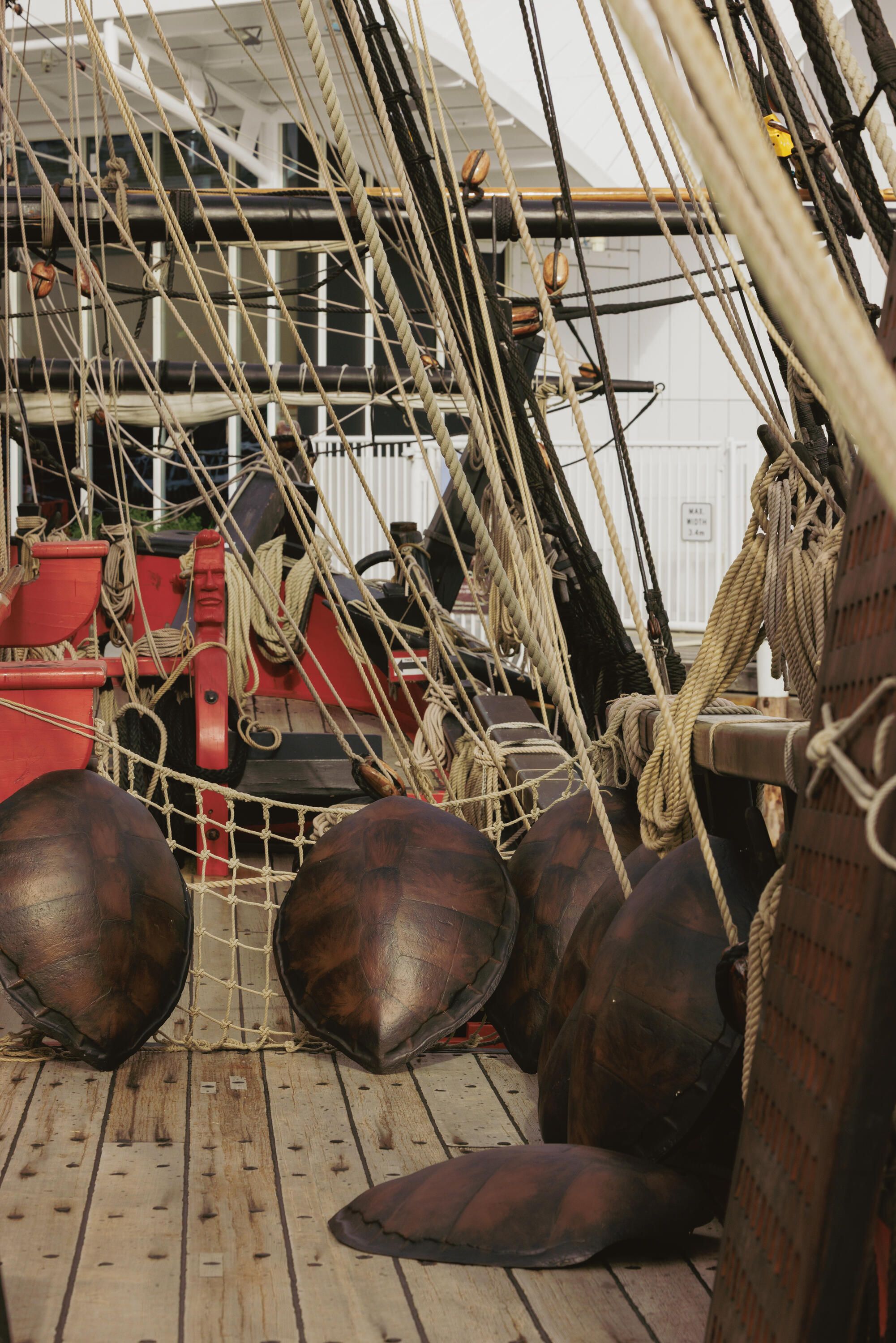A photo looking down the deck of a wooden tall ship with ropes in the air, and several turtle shells on the deck.