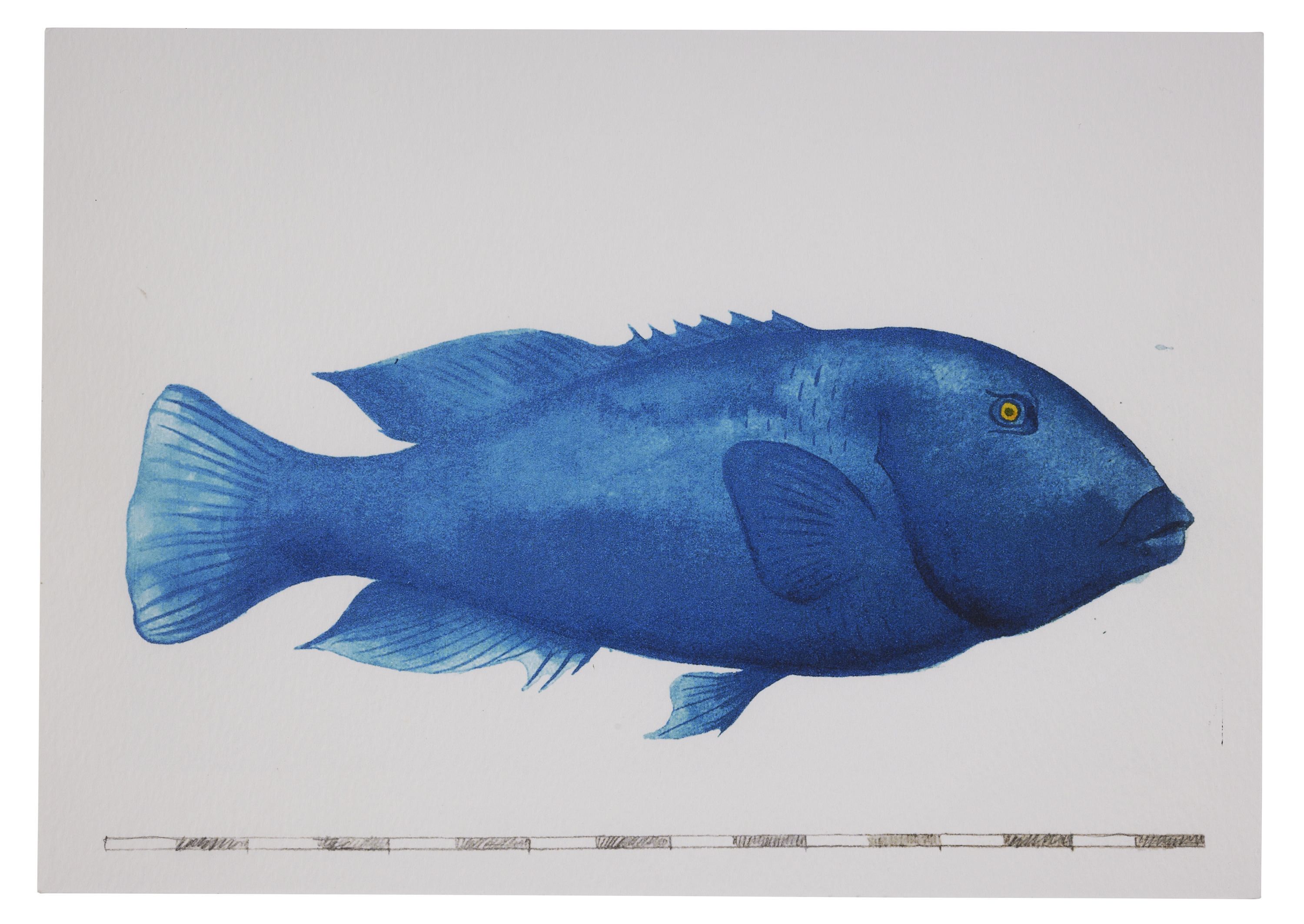 Watercolour painting of a bright blue fish.