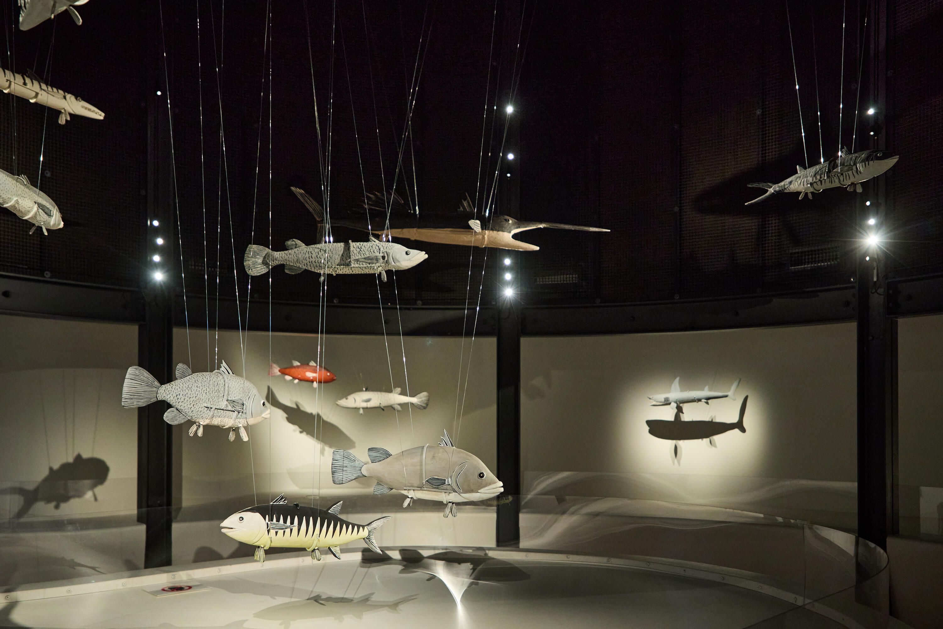 Wooden fish and shark sculptures hanging from fishing line in a museum exhibition