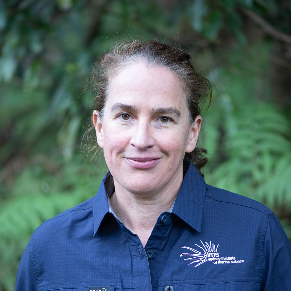 Photo of a woman with light brown hair in a pony tail, wearing a dark blue collared shirt