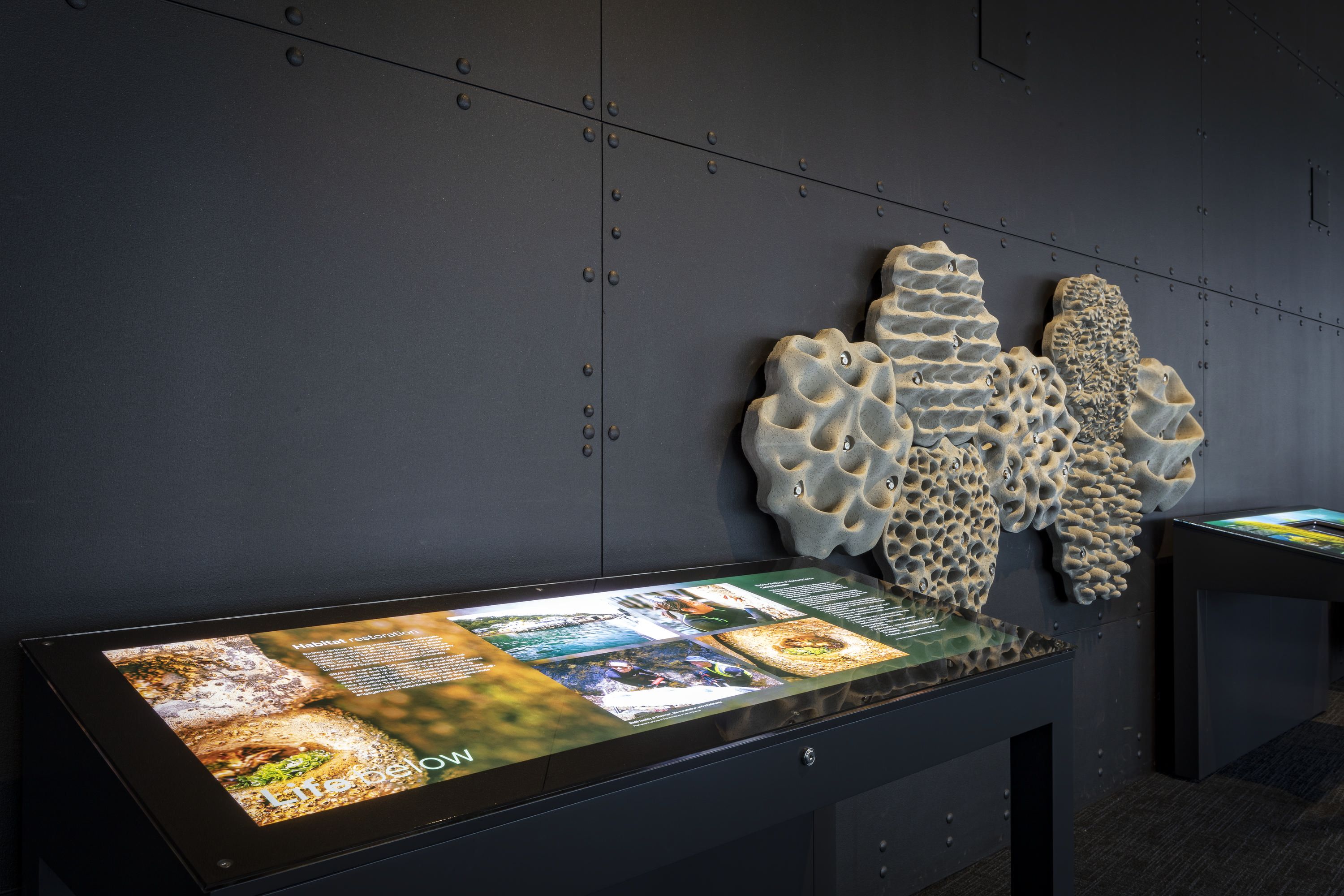 Photo of a museum gallery, with a display of textured wall panels and a panel of text and photos. 