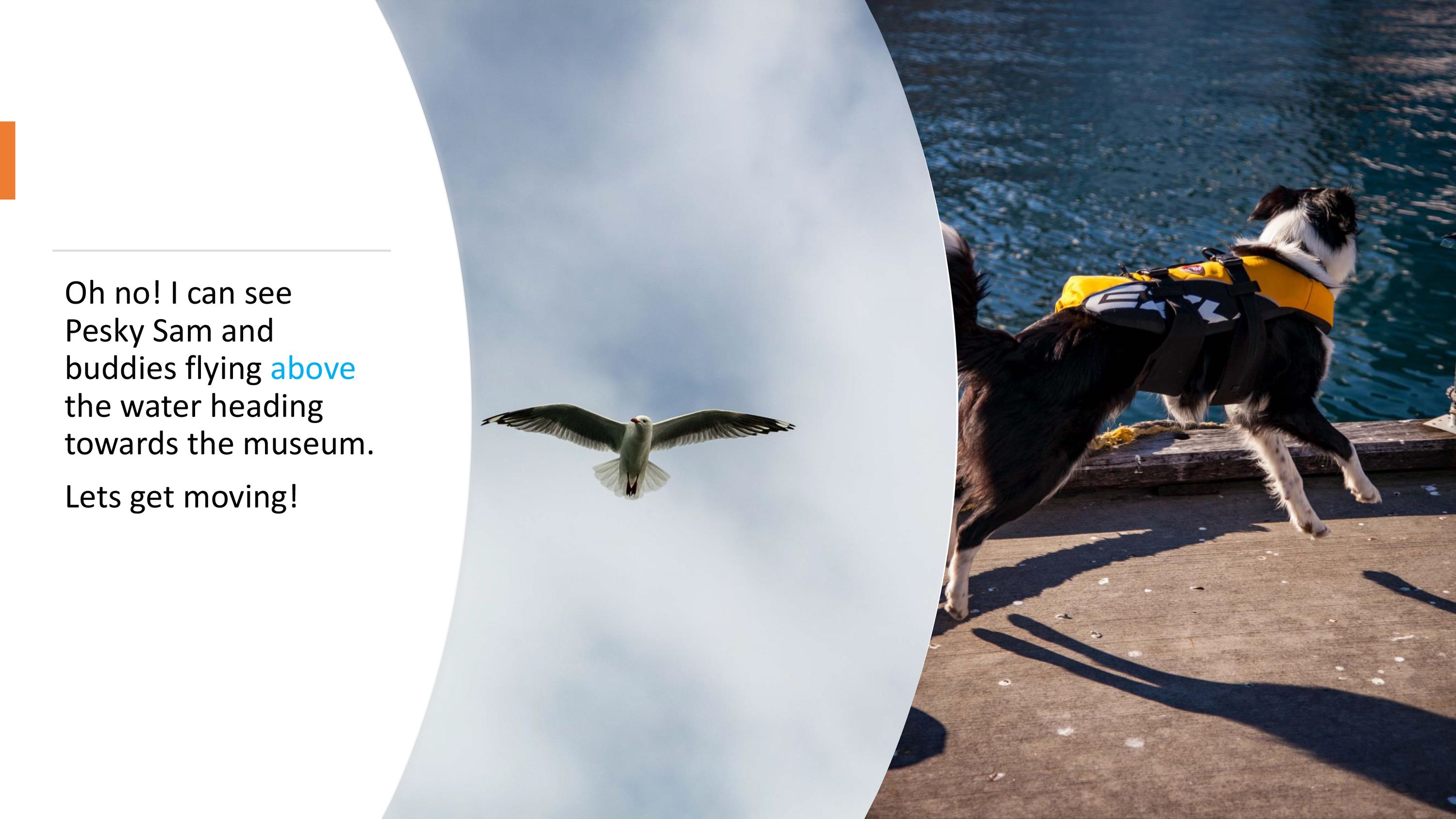 Oh no! I can see  Pesky Sam and  buddies flying above the water heading  towards the museum. Lets get moving!