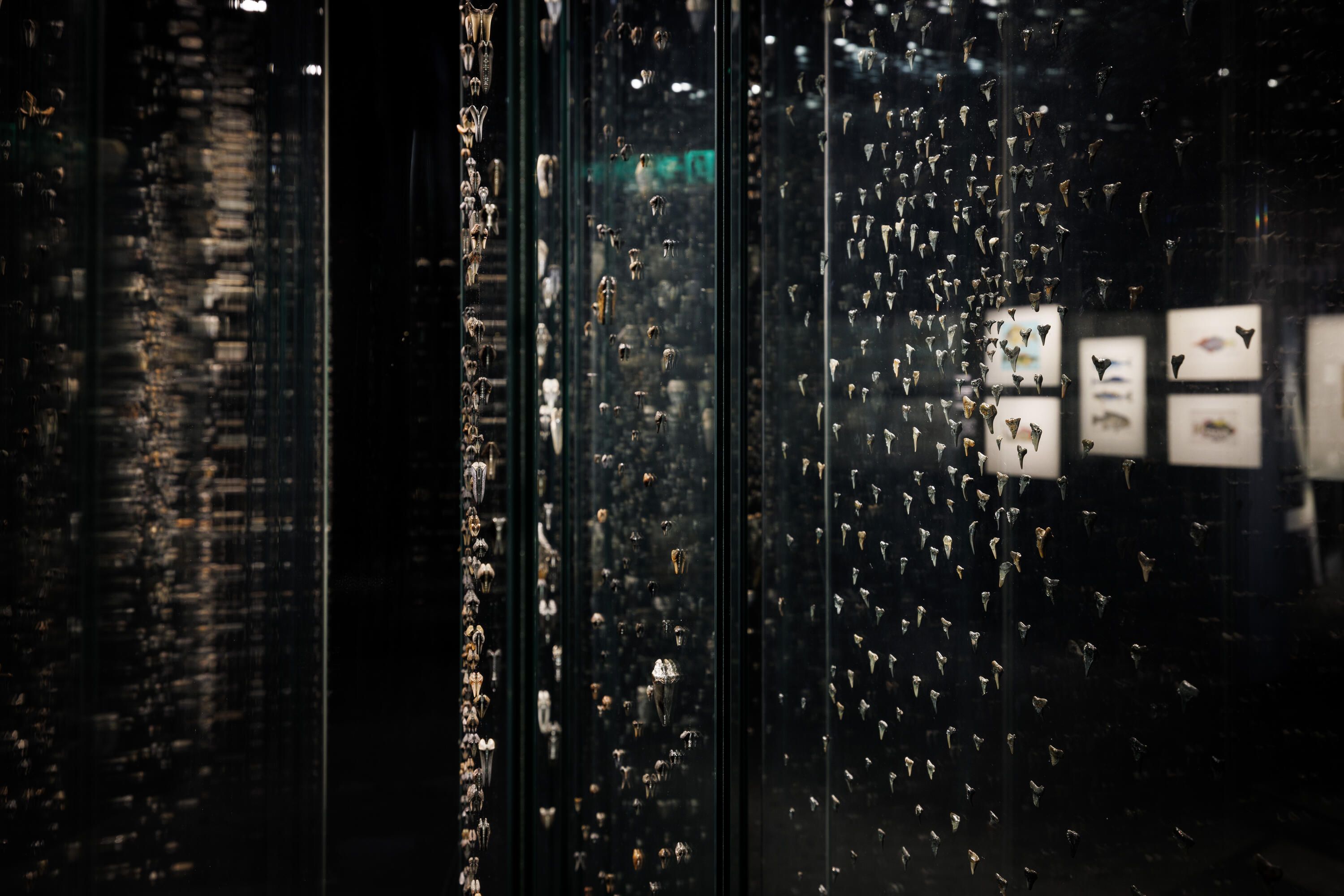 View of museum exhibition