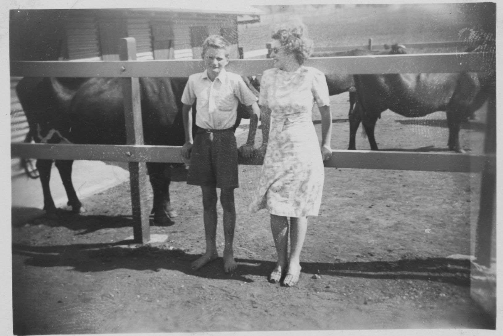 Old black and white photograph showing a young man and woman standing in front of a fence with animals behind them. 