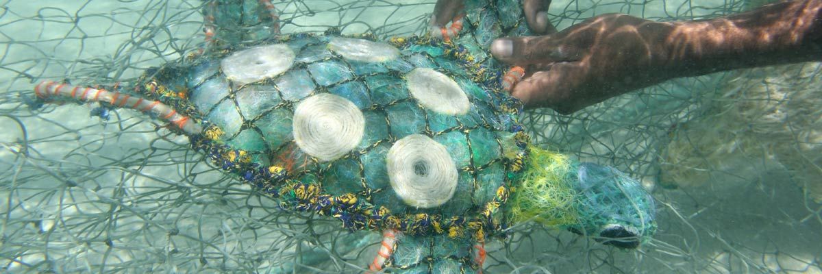 Photo of a turtle sculpture.