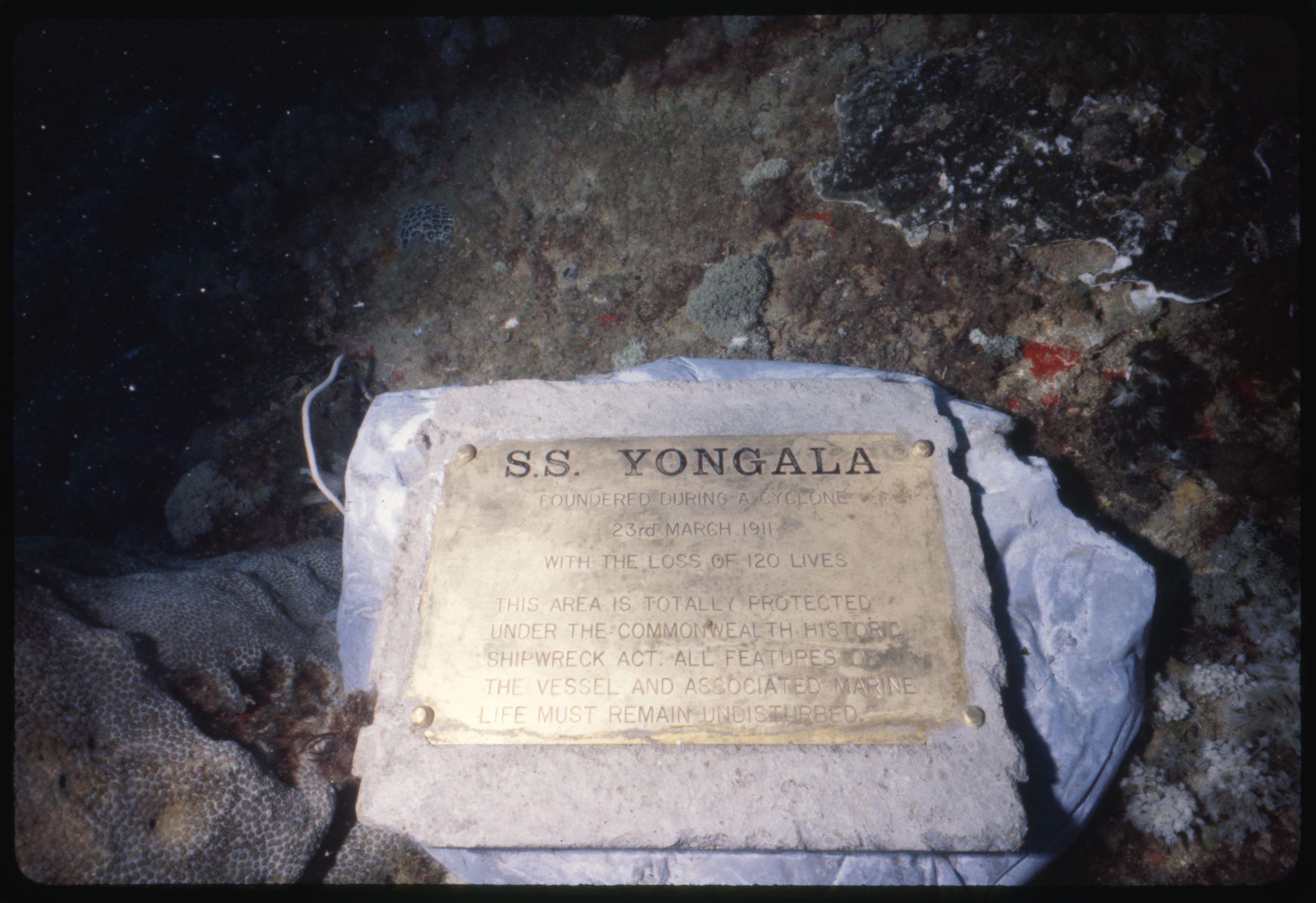 Underwater photograph of a gold plaque commemorating the S.S. Yongala located at the site of the wreck.