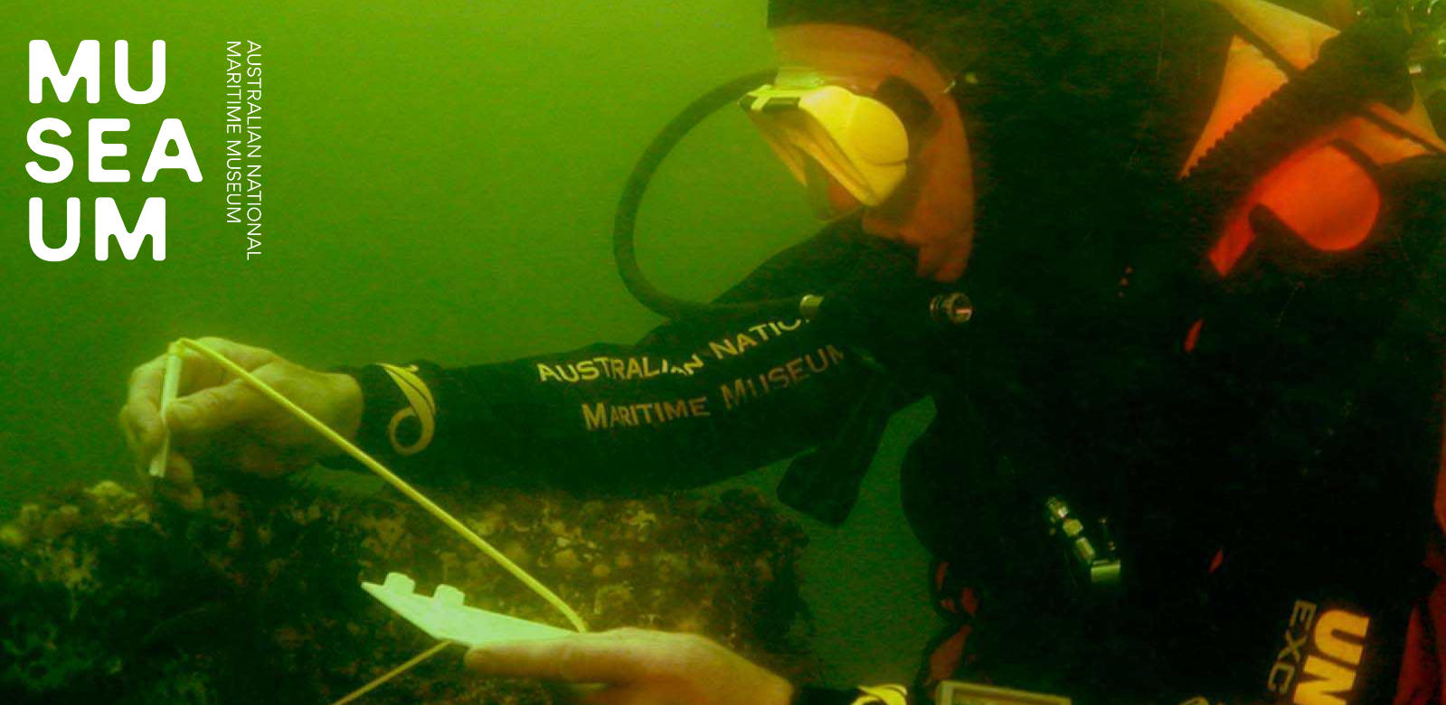 Photo of a diver underwater