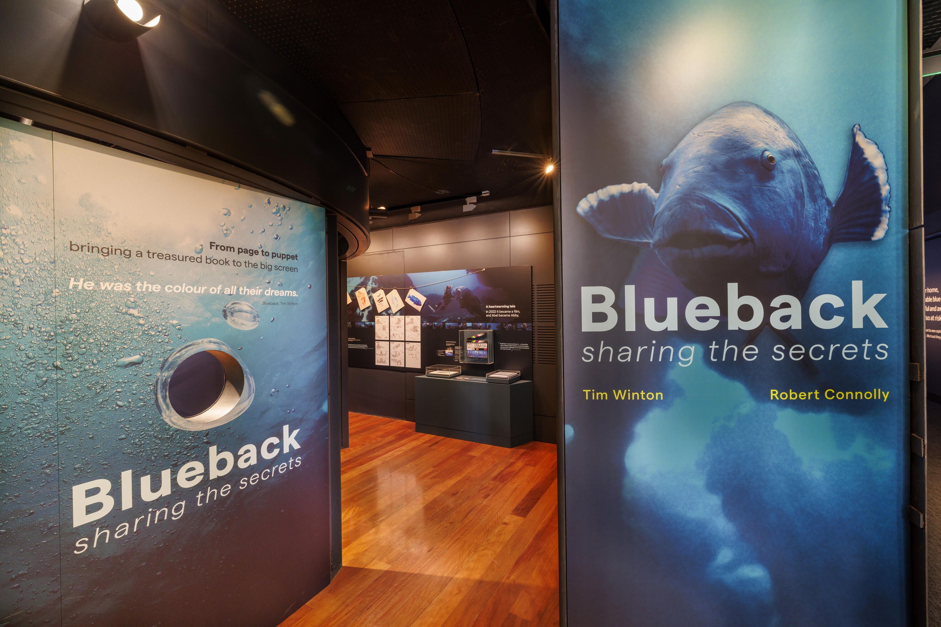 Photograph of an exhibition. The text on the entry wall says Blueback with a photo of a fish.