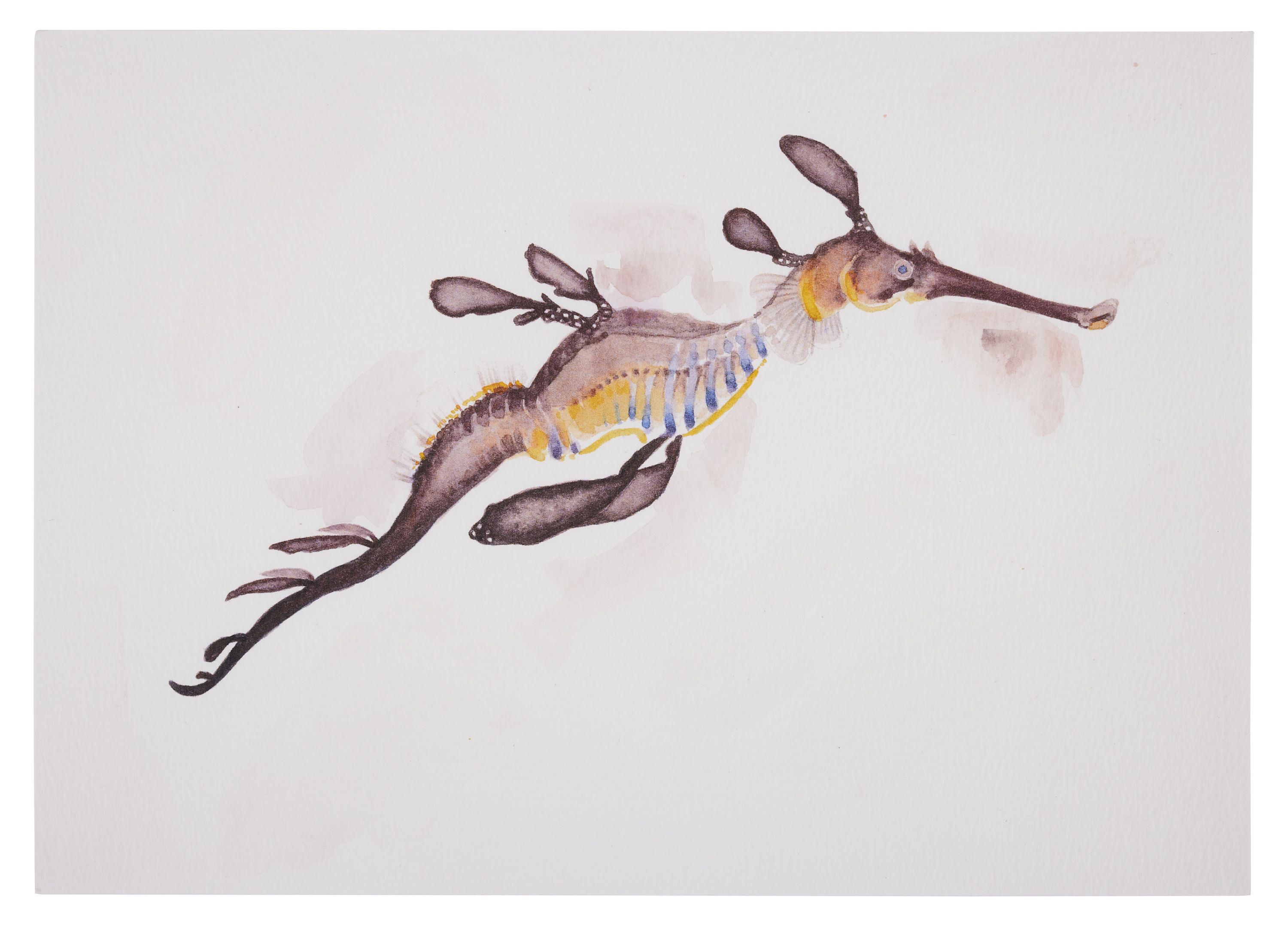 Watercolour painting of a brown and orange sea dragon. 