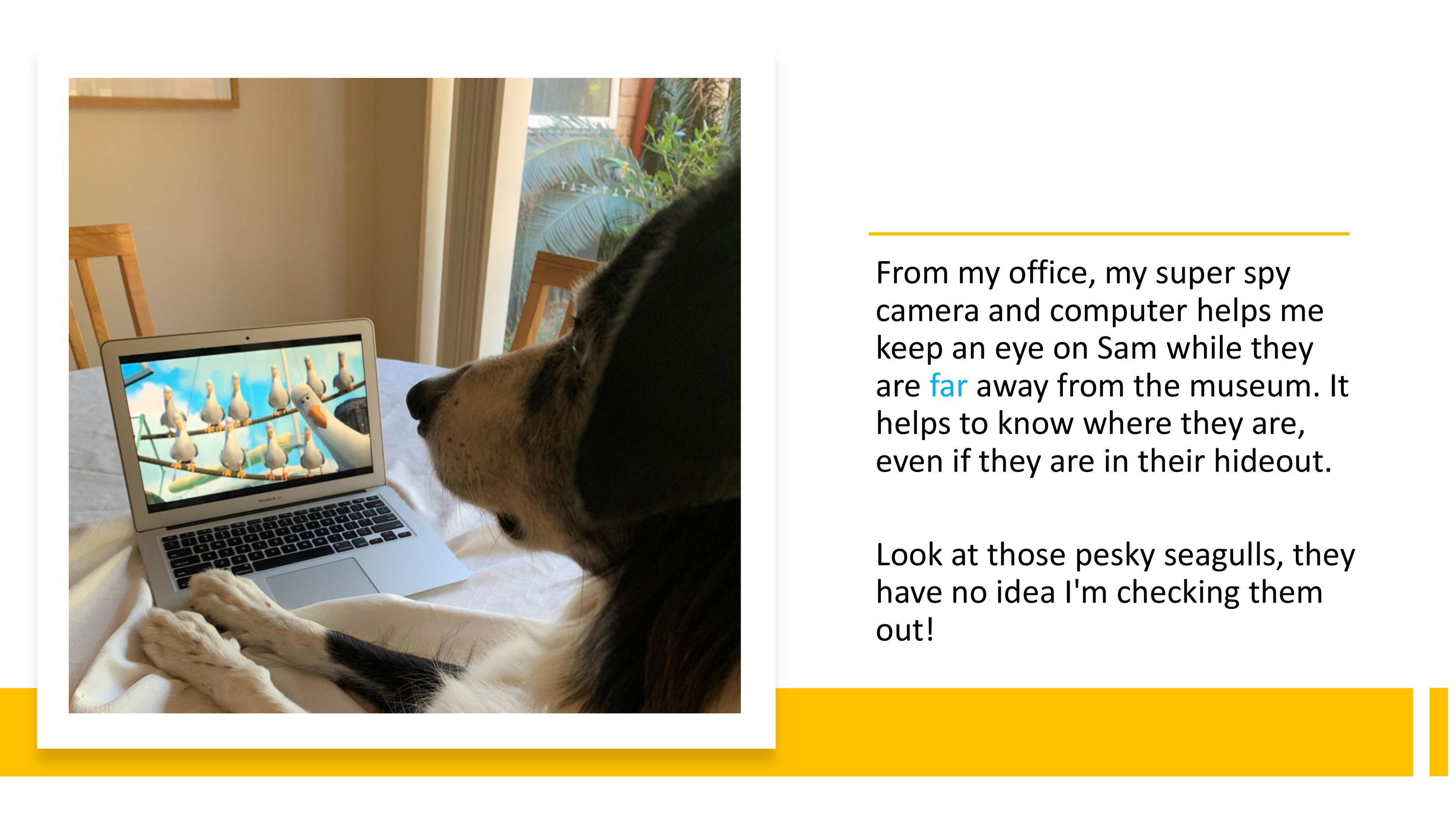 From my office, my super spy  camera and computer helps me  keep an eye on Sam while they  are far away from the museum. It  helps to know where they are,  even if they are in their hideout.  Look at those pesky seagulls, they  have no idea I'm checking them  out!