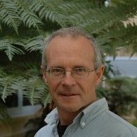 Photo of a man wearing glases and a light coloured button down shirt, standing in front of fern leaves