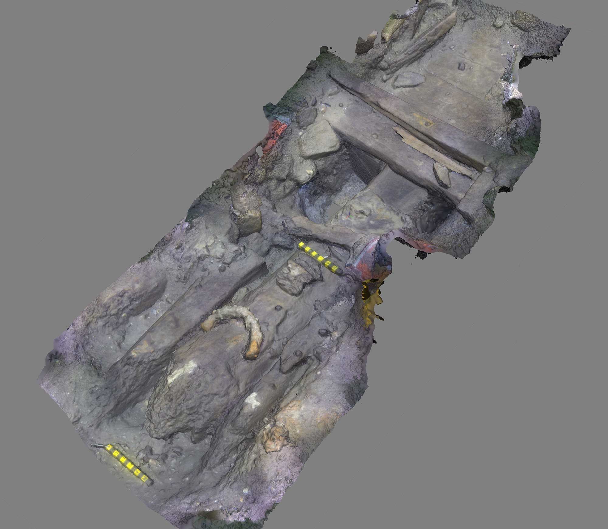 Medium-resolution photogrammetric 3D model of hull timbers located within the interface between RI 2394’s midships and bow sections, showing large, unfinished floors that were likely installed as part of hasty repairs to the vessel. Note the narrower, squared-off faces of the large central floor where it crosses the centreline.