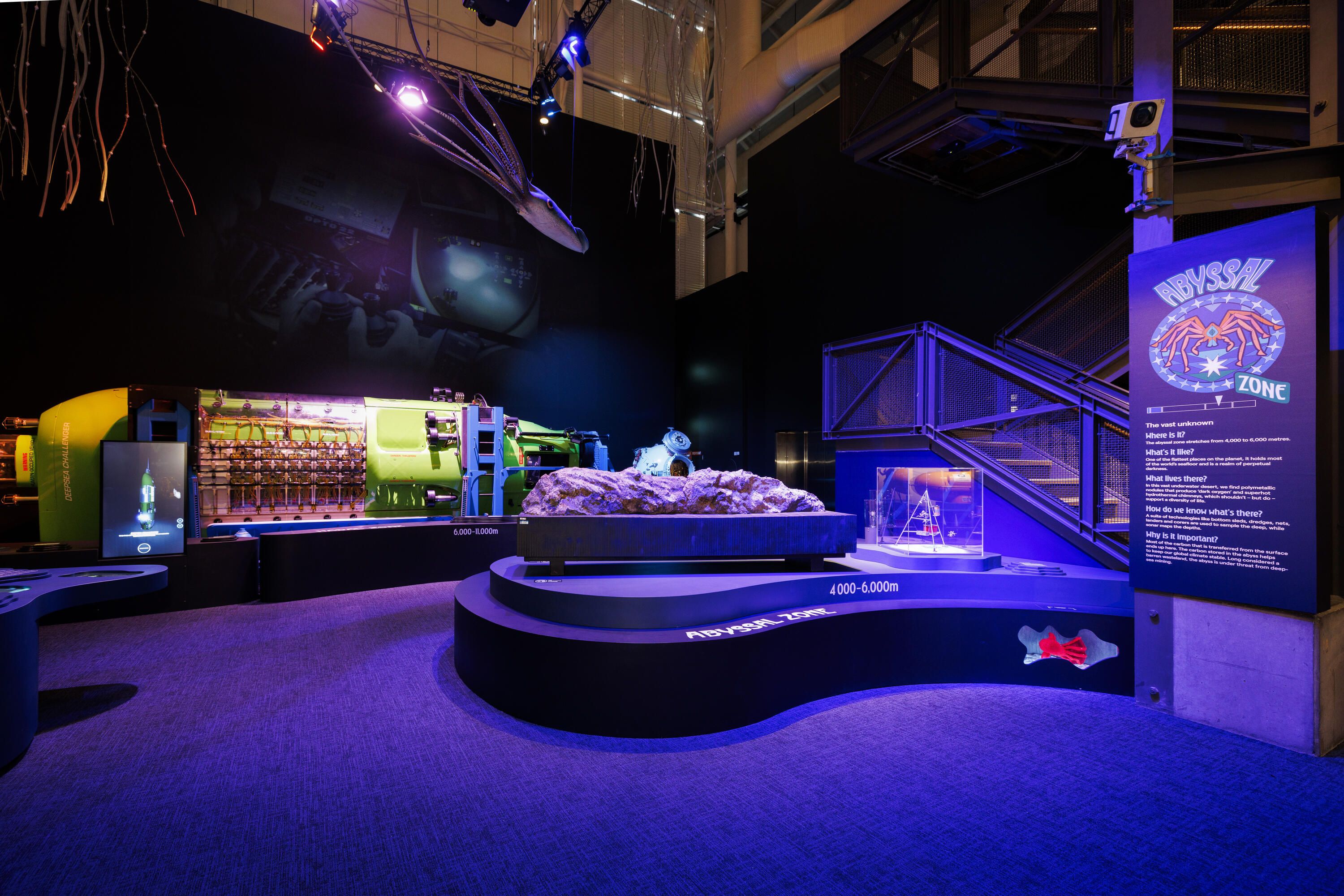 Photo of a museum exhibition with a curved plinth and objects on display.