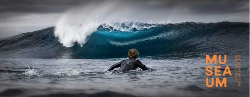 image credit: Artist render of Harbour Life from Artists in Motion