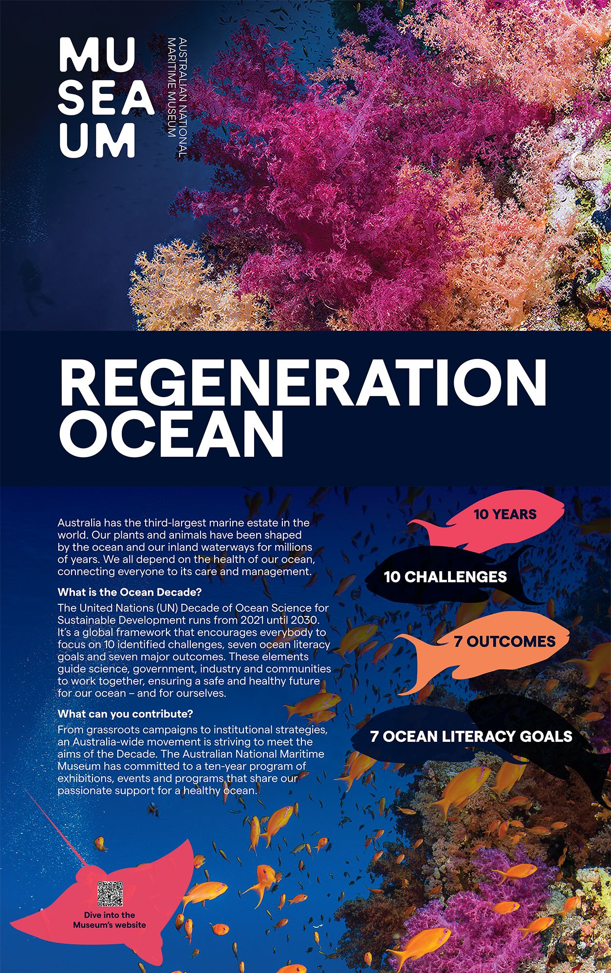 Image of a coloured banner titled "Regeneration Ocean" with the museum logo and paragraphs of information.