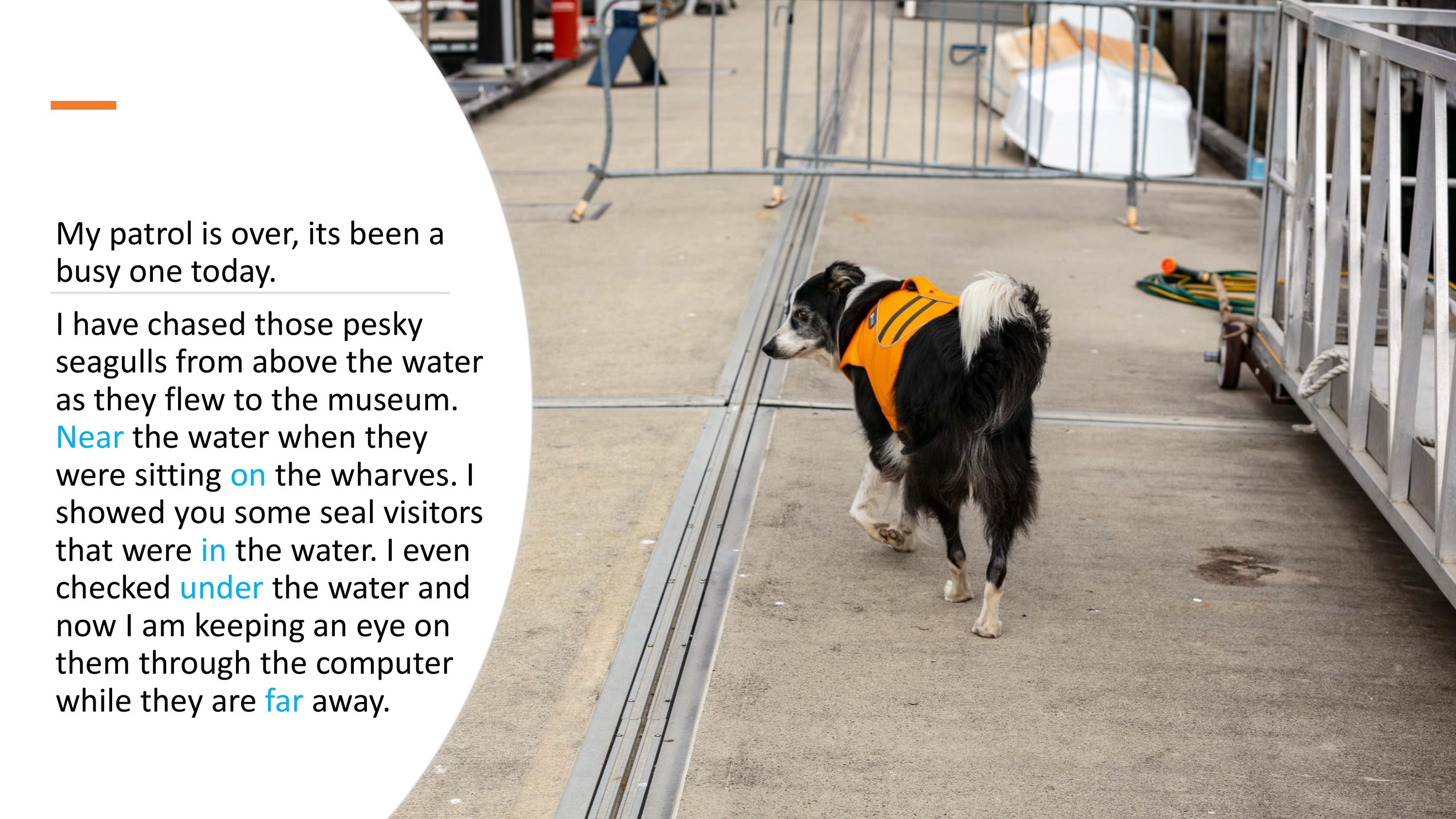 My patrol is over, its been a  busy one today.  I have chased those pesky  seagulls from above the water  as they flew to the museum.  Near the water when they  were sitting on the wharves. I  showed you some seal visitors  that were in the water. I even  checked under the water and  now I am keeping an eye on  them through the computer  while they are far away.