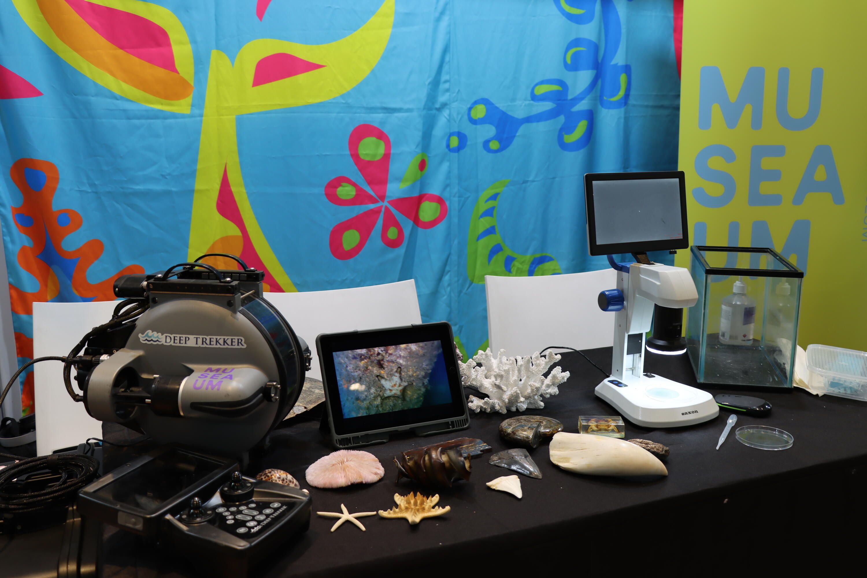 a photo of a table with a range of science equipment and specimens in front of a colourful backdrop. 