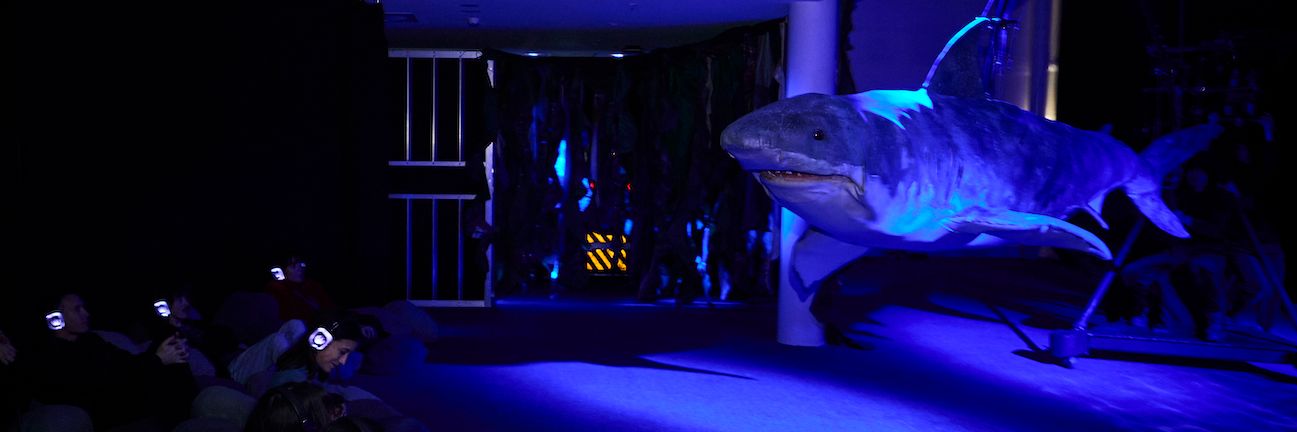 Photo of a puppet shark in a dark space