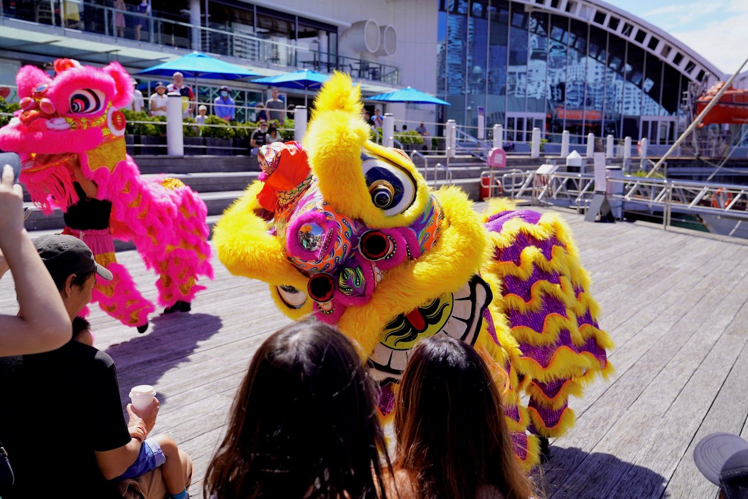 Photo of 2 colourful, Chinese dragon costumes performing.