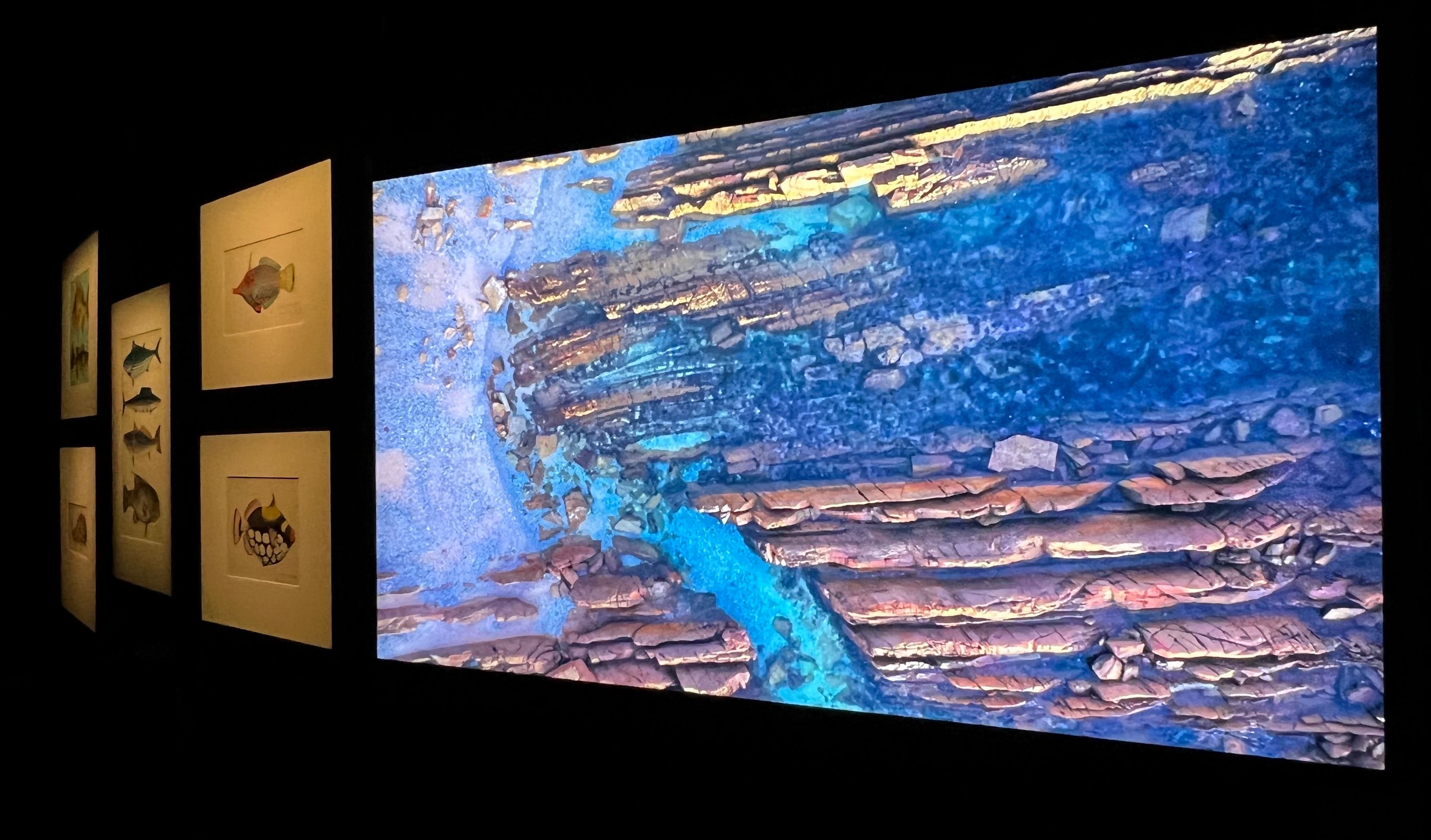 Gallery view of exhibition