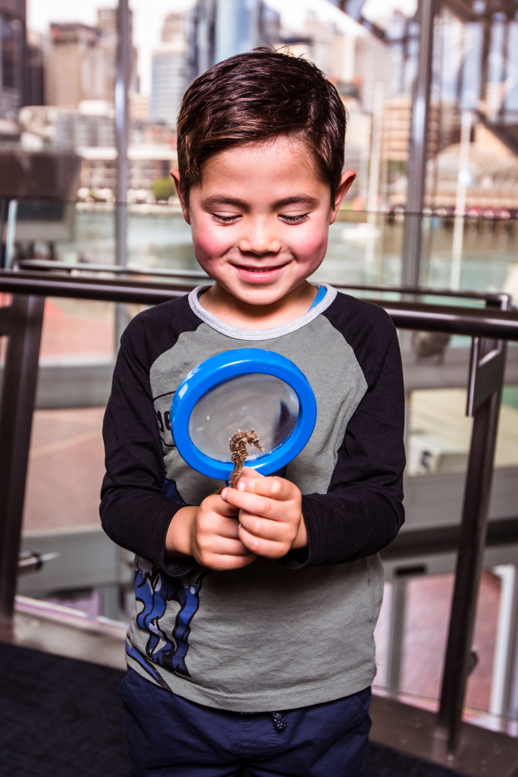 Boy with dark hair wearing a grey and black top is holding a small seahorse and looking at it through a blue magnifying glass.
