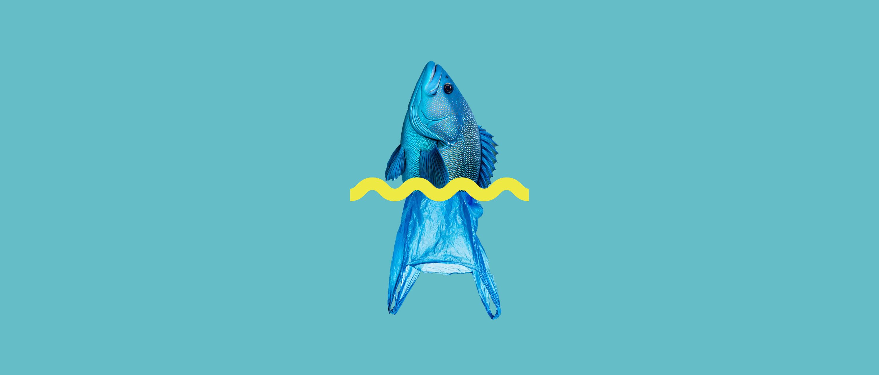 Graphic showing a mash up of a blue fish and plastic bag which looks like the tail