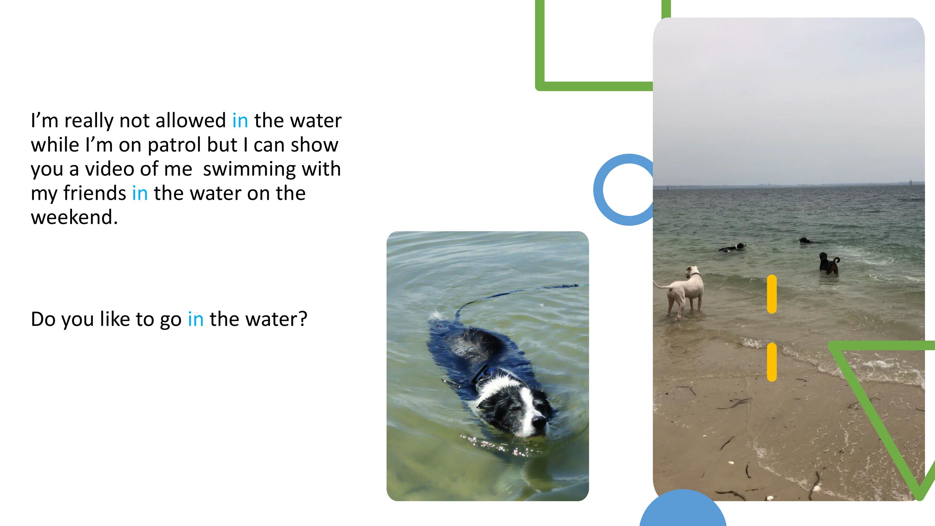 I’m really not allowed in the water  while I’m on patrol but I can show  you a video of me swimming with  my friends in the water on the weekend.  Do you like to go in the water?