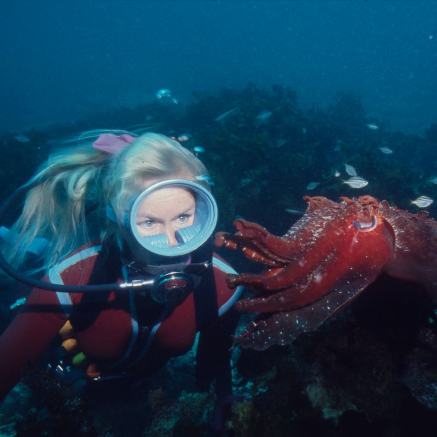Photo taken underwater of a woman with blond hair and scuba equipment, looking at a red cuttlefish.