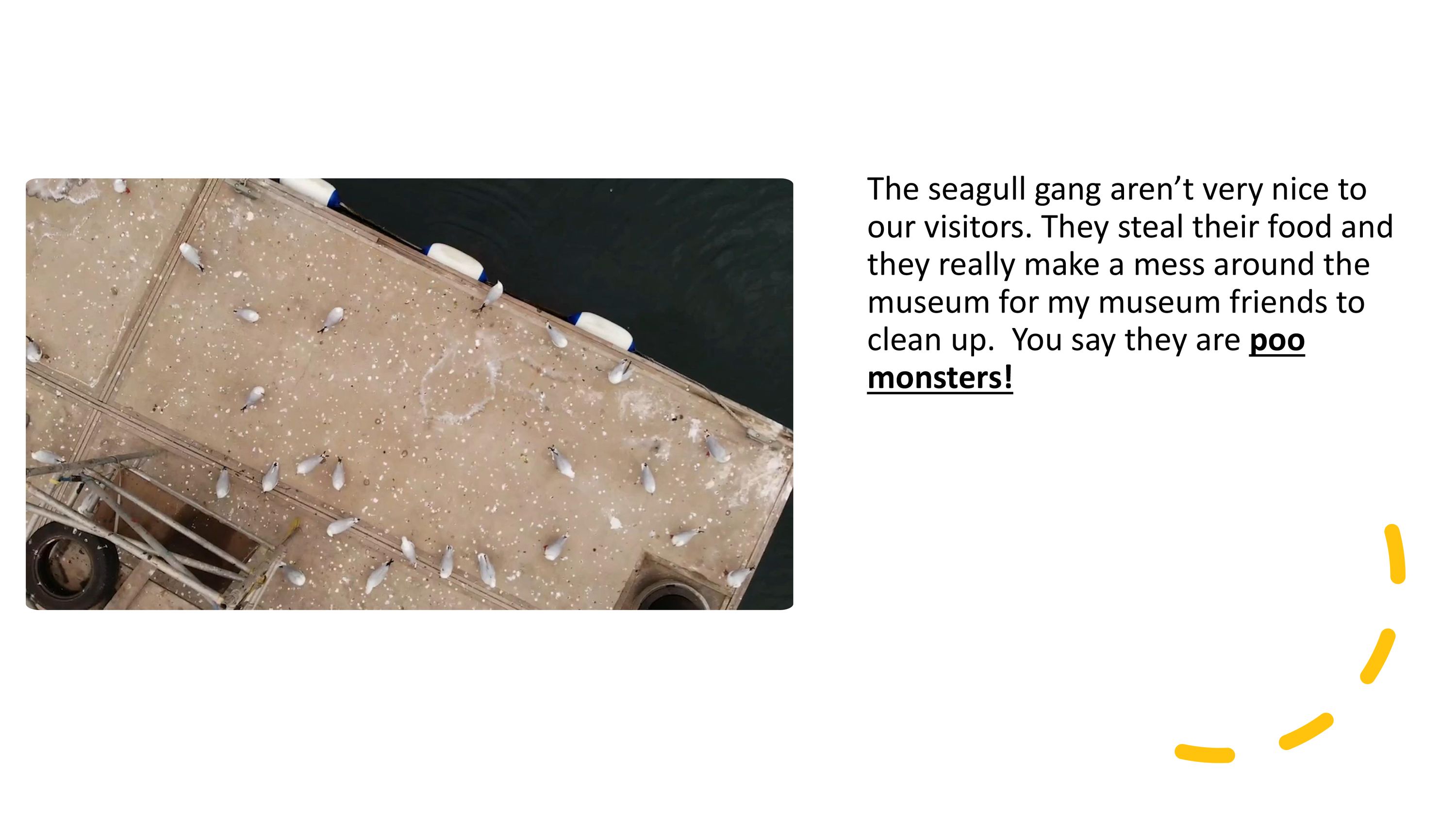 The seagull gang aren’t very nice to  our visitors. They steal their food and  they really make a mess around the  museum for my museum friends to clean up. You say they are poo monsters!