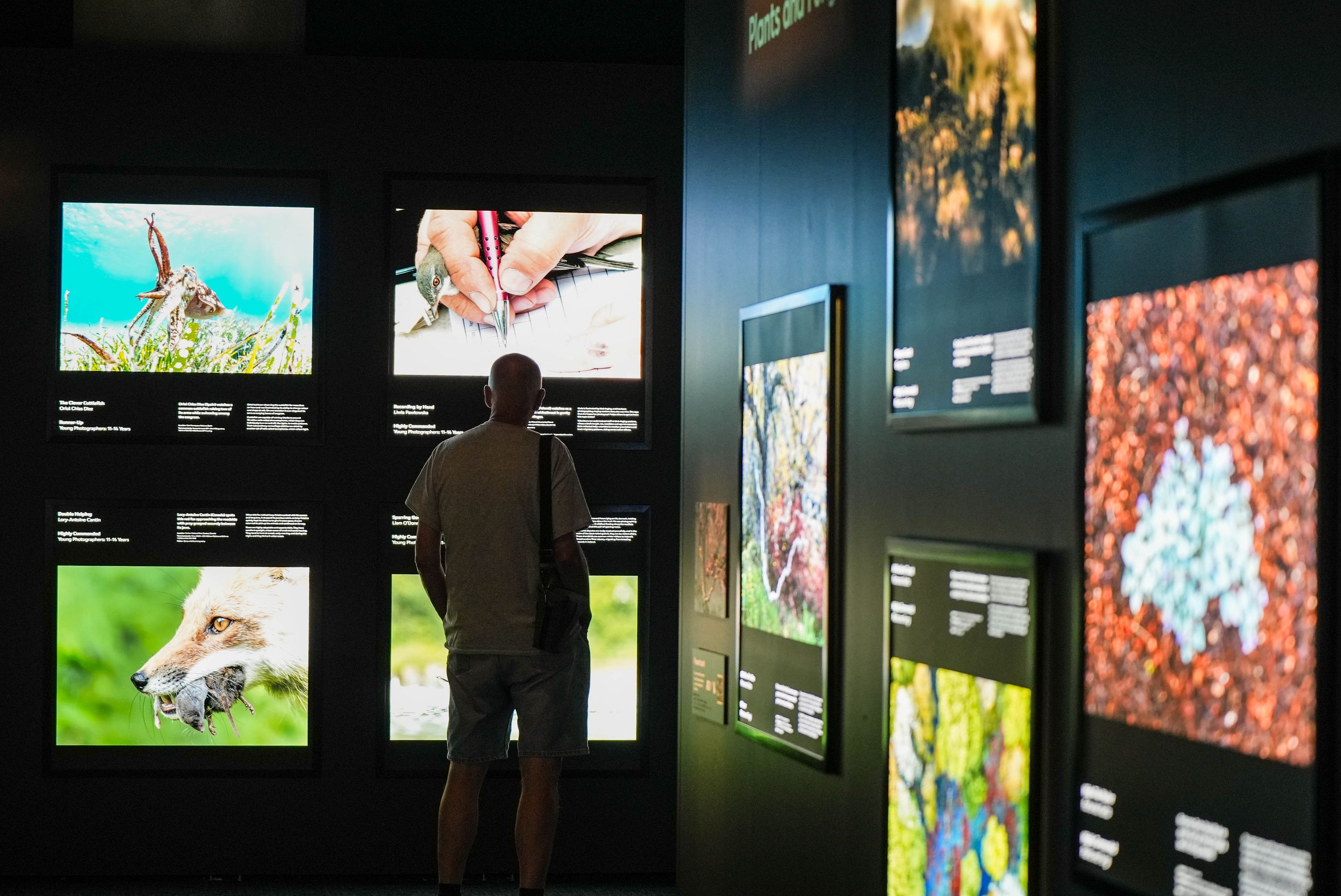 Photograph taken in a dark museum exhibition with backlight photographs on the walls