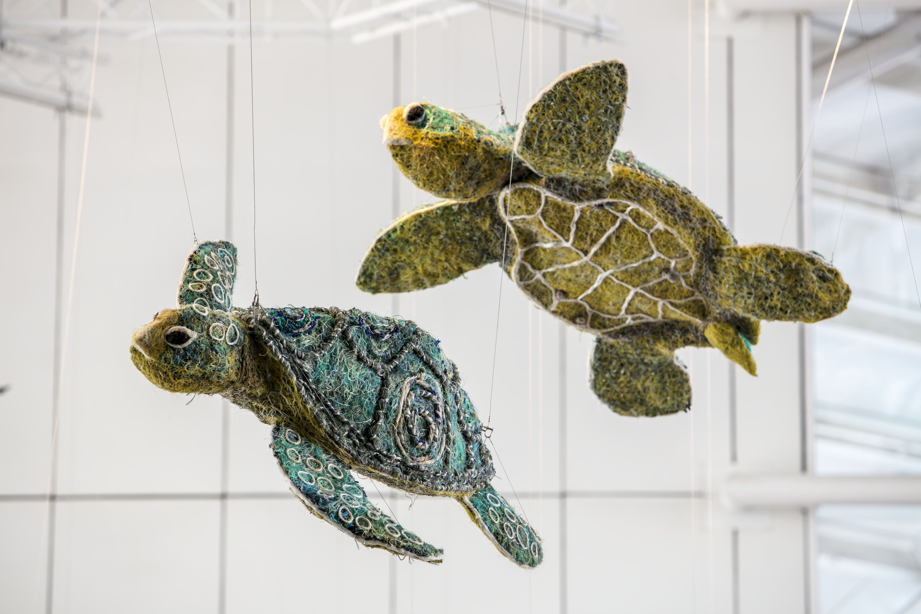 Photo of Ghost Nets sculptures handing above the museum foyer. The sculptures are made from eclaimed fishing net and rope and this photo includes two turtles.