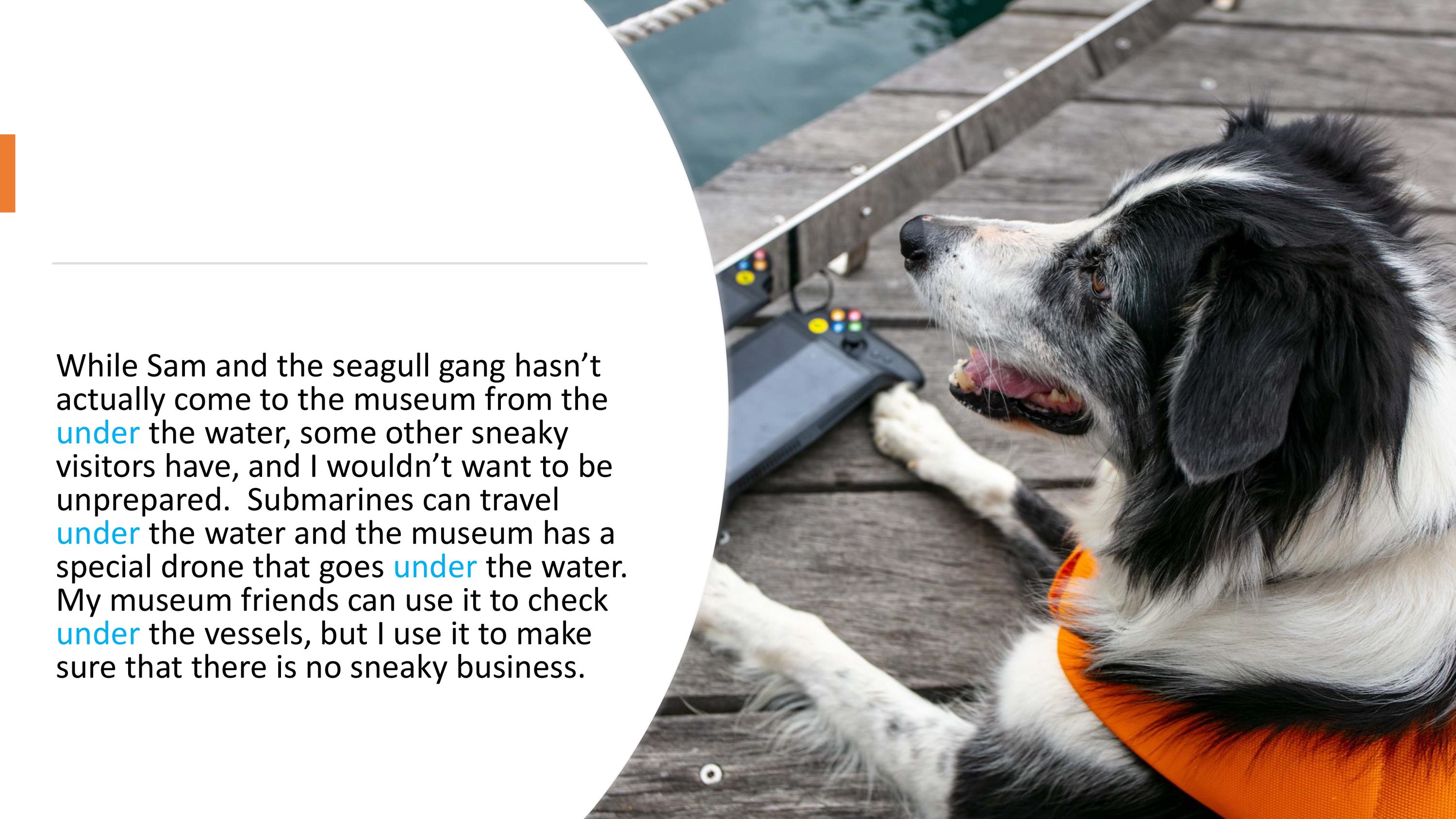 While Sam and the seagull gang hasn’t  actually come to the museum from the  under the water, some other sneaky  visitors have, and I wouldn’t want to be  unprepared. Submarines can travel  under the water and the museum has a  special drone that goes under the water.  My museum friends can use it to check  under the vessels, but I use it to make  sure that there is no sneaky business. 