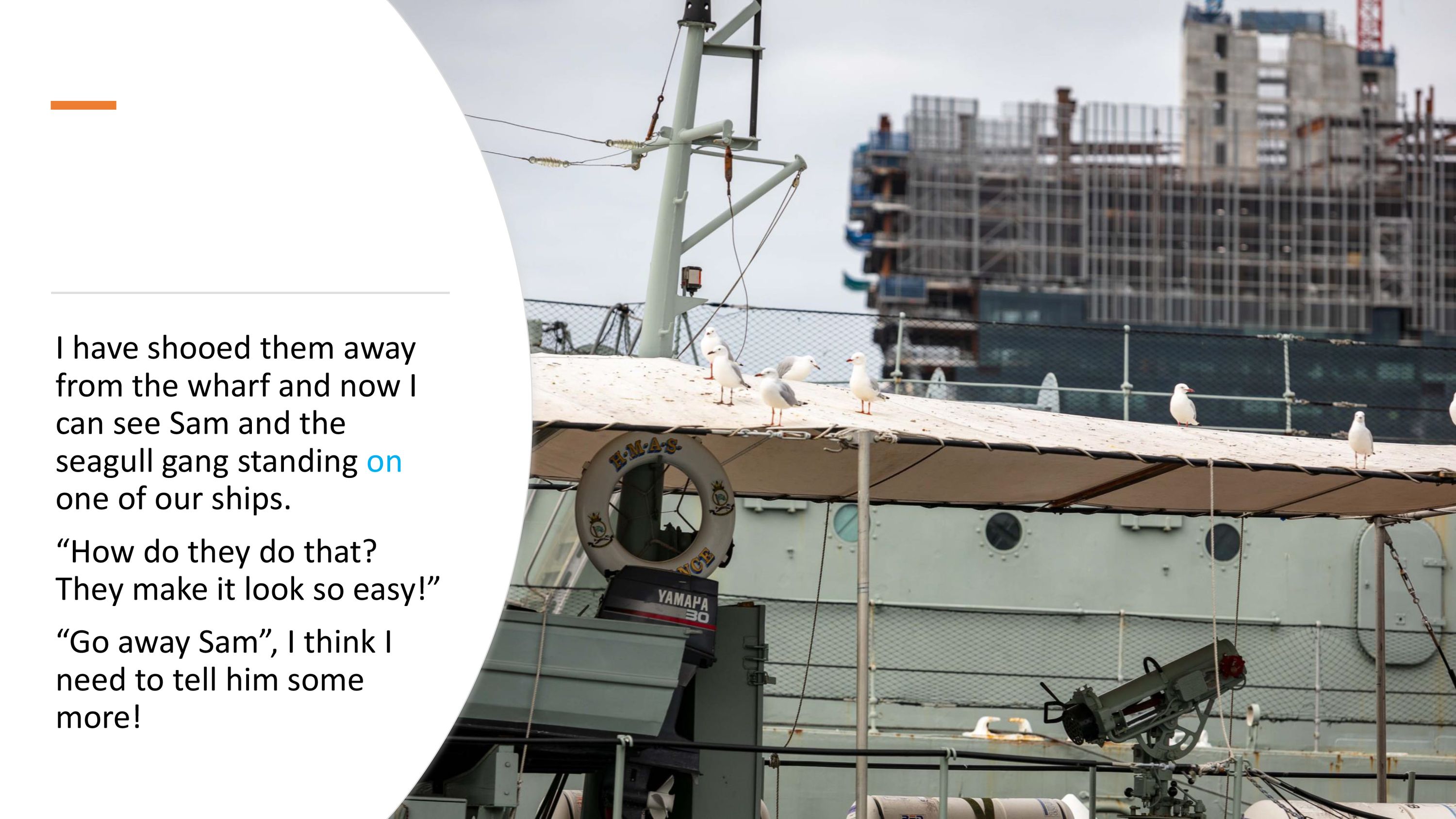 I have shooed them away  from the wharf and now I  can see Sam and the  seagull gang standing on  one of our ships.  “How do they do that?  They make it look so easy!”  “Go away Sam”, I think I  need to tell him some more!