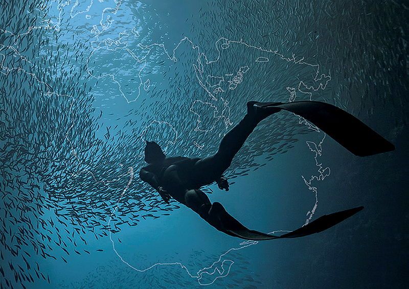 digital artwork showing a diver in a black wetsuit and fins, swimming away from the viewer towards a school of fish.